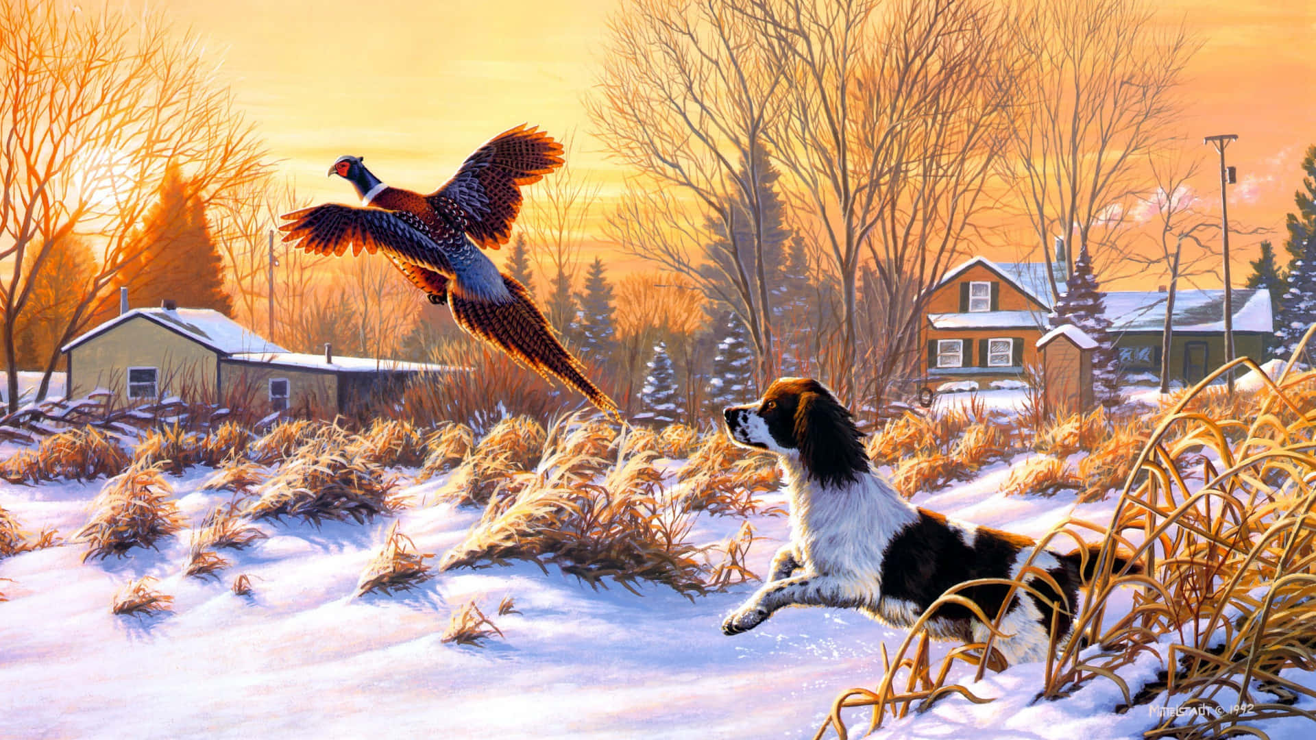 A Hunter In The Wilderness During Sunset Background