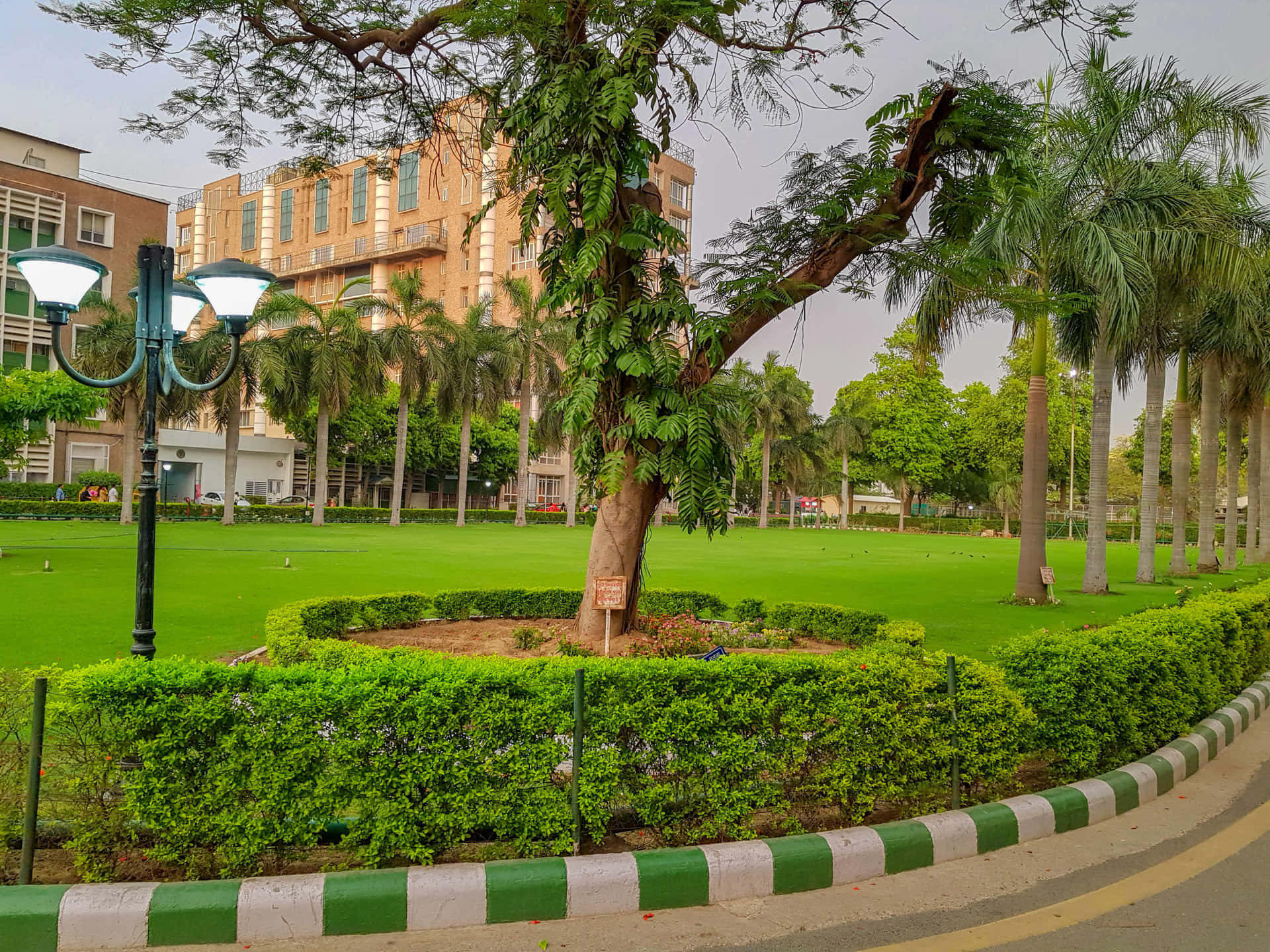 A I I M S Campus Greenery Lawn Background