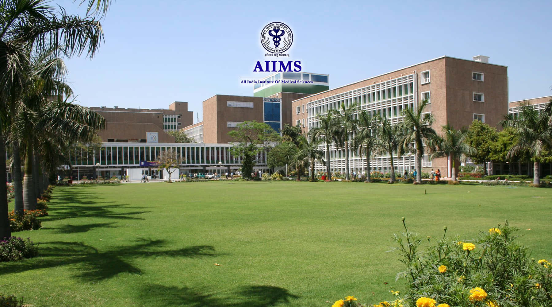 A I I M S Hospital Exterior View Background