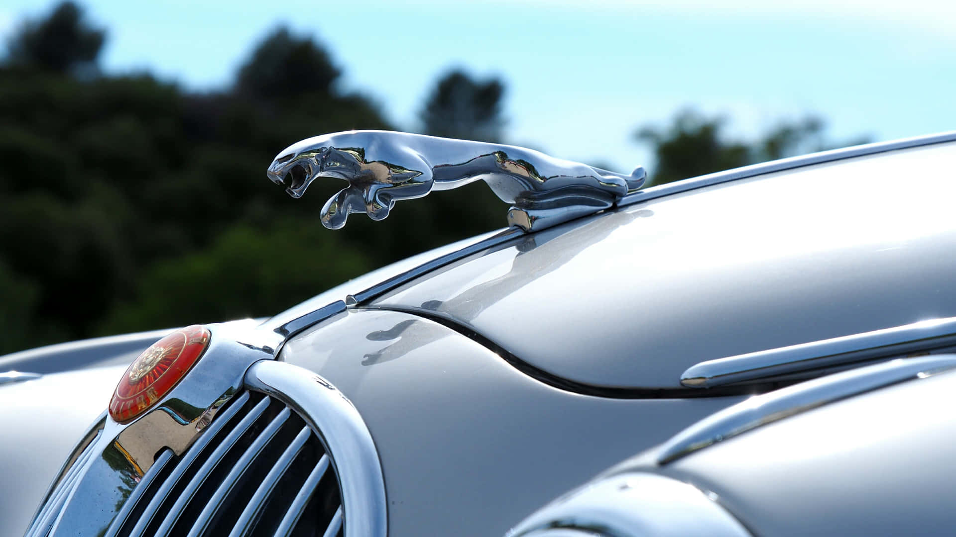 A Jaguar Hood Ornament Background