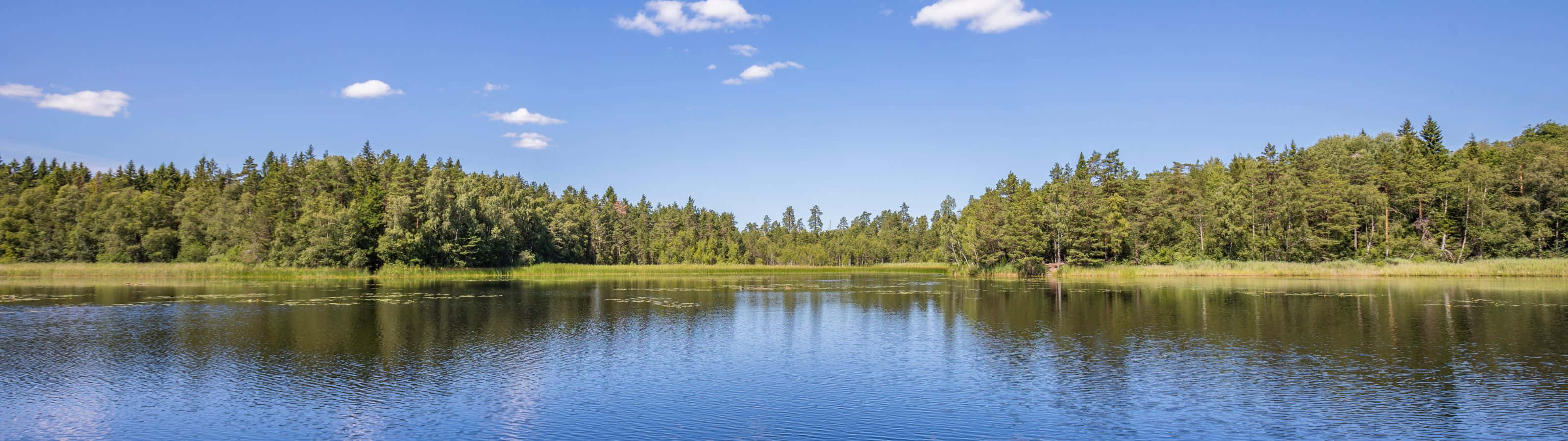 A Lake Surrounded By Trees And A Blue Sky Background