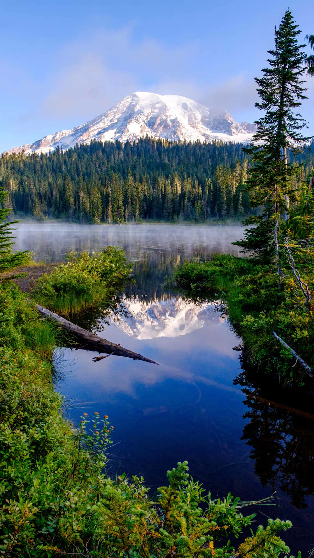 A Lake Surrounded By Trees And A Mountain