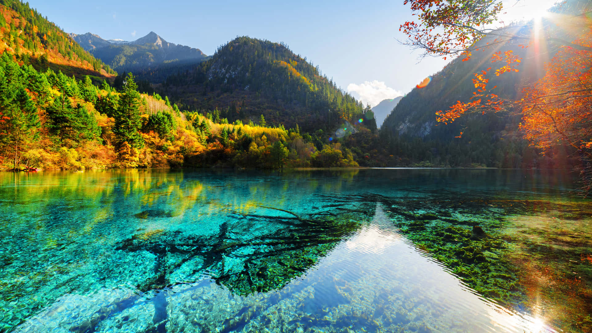 A Lake With Clear Water And Trees In The Background