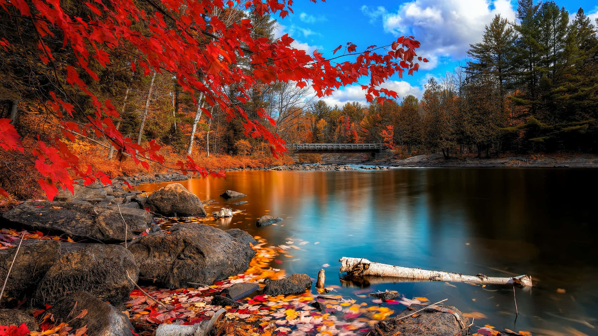 A Lake With Red Leaves And Rocks Background