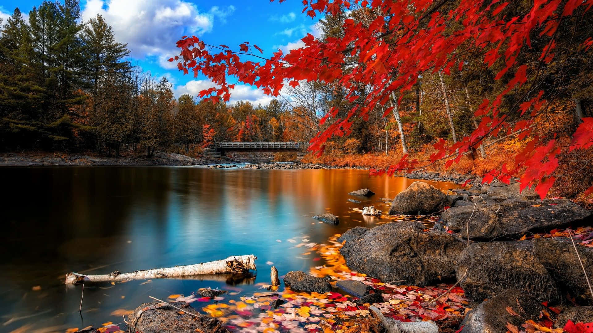 A Lake With Red Leaves And Rocks Background