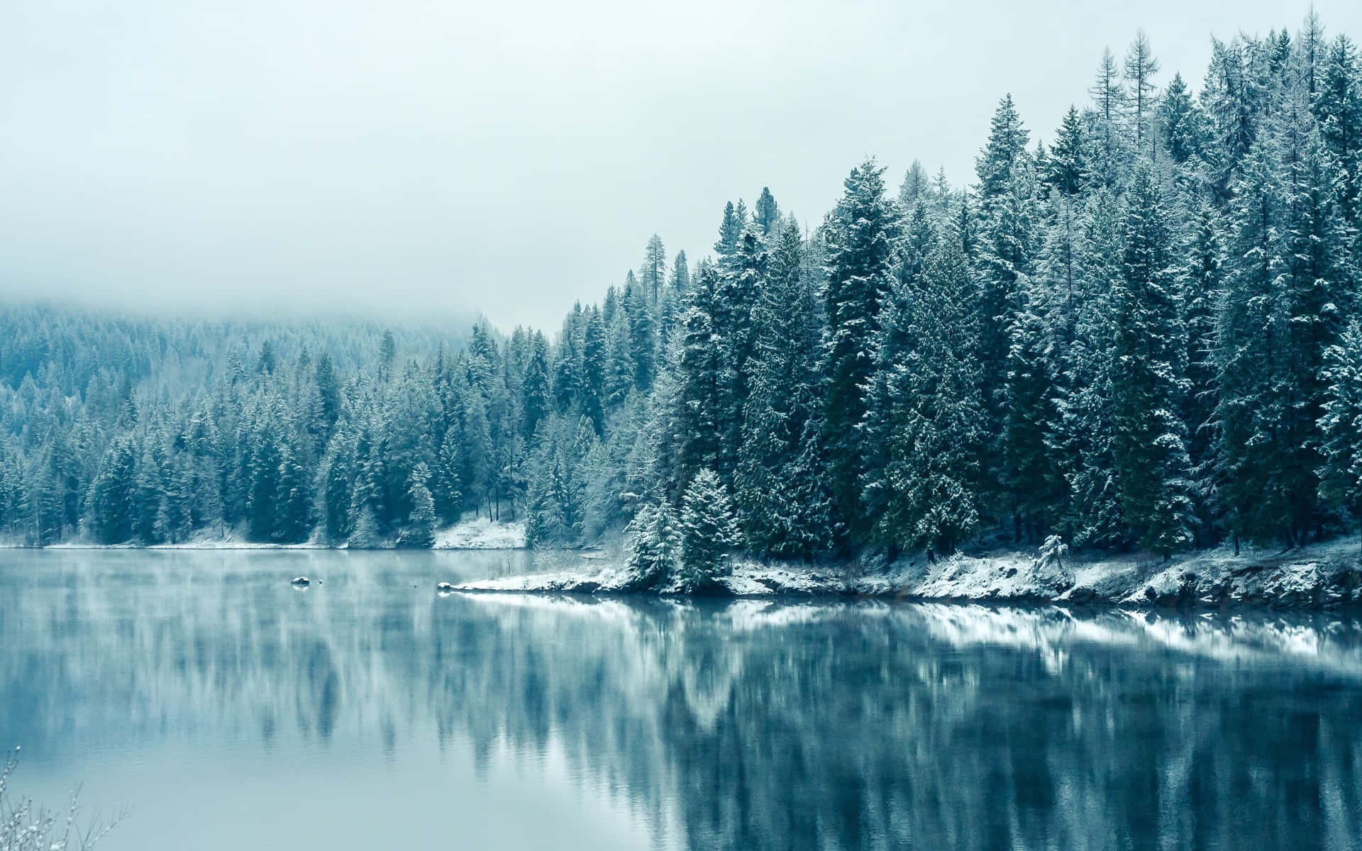 A Lake With Snow Covered Trees And A Snowy Landscape Background