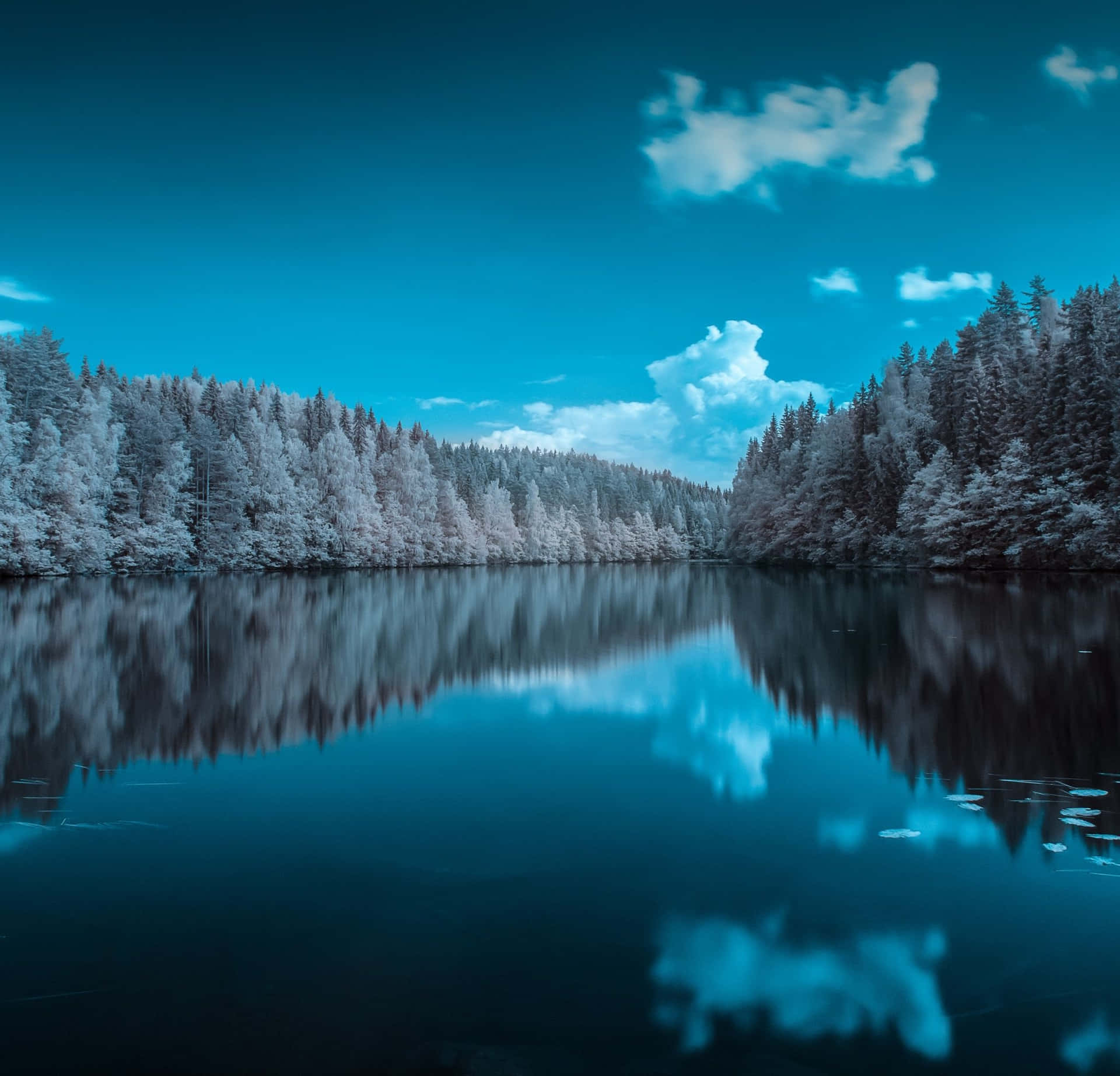 A Lake With Trees And Blue Sky Background