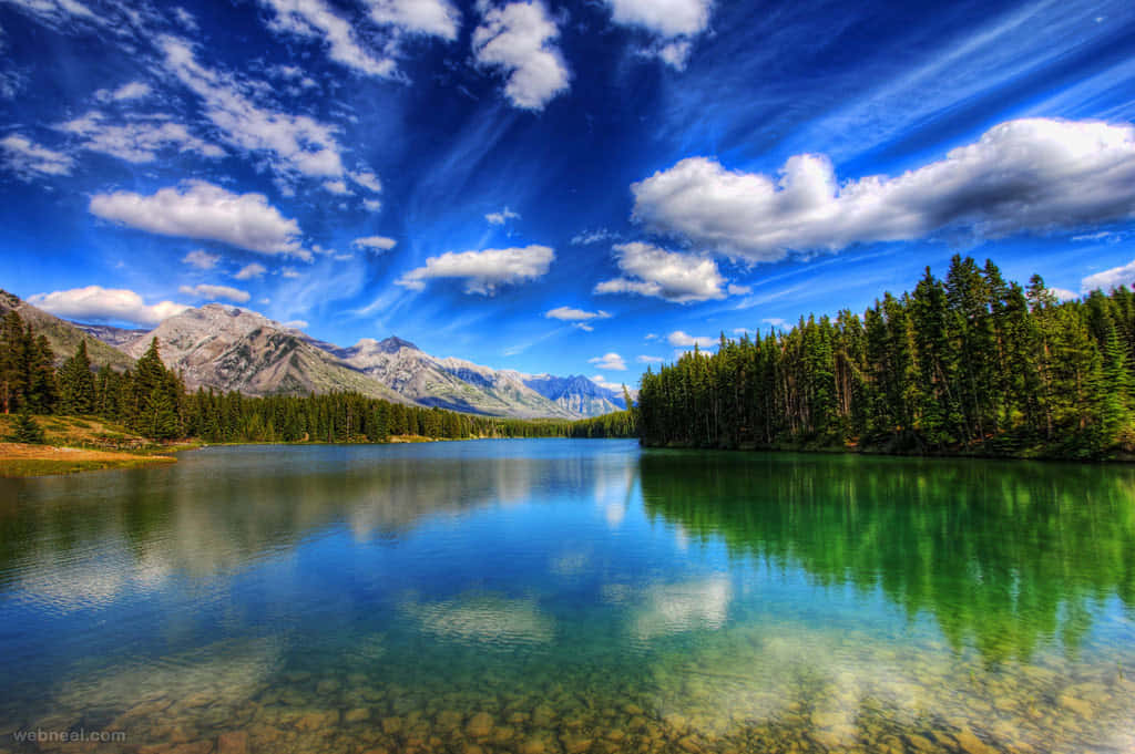 A Lake With Trees And Clouds In The Background Background