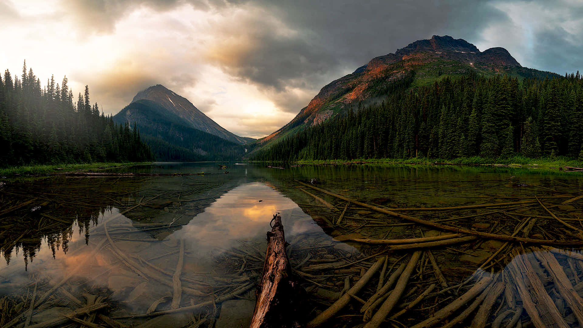 A Lake With Trees And Mountains Background