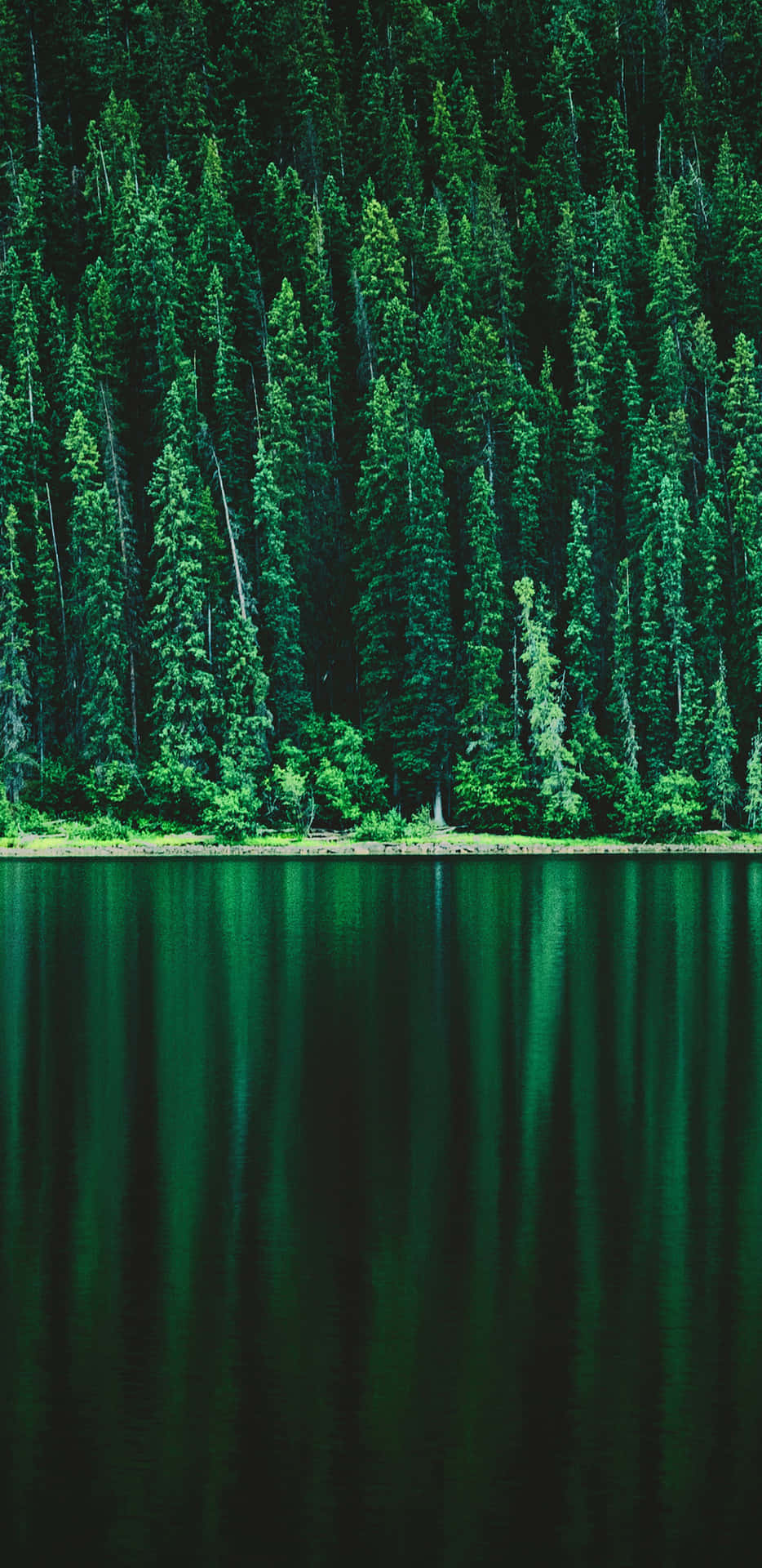 A Lake With Trees Reflected In It Background