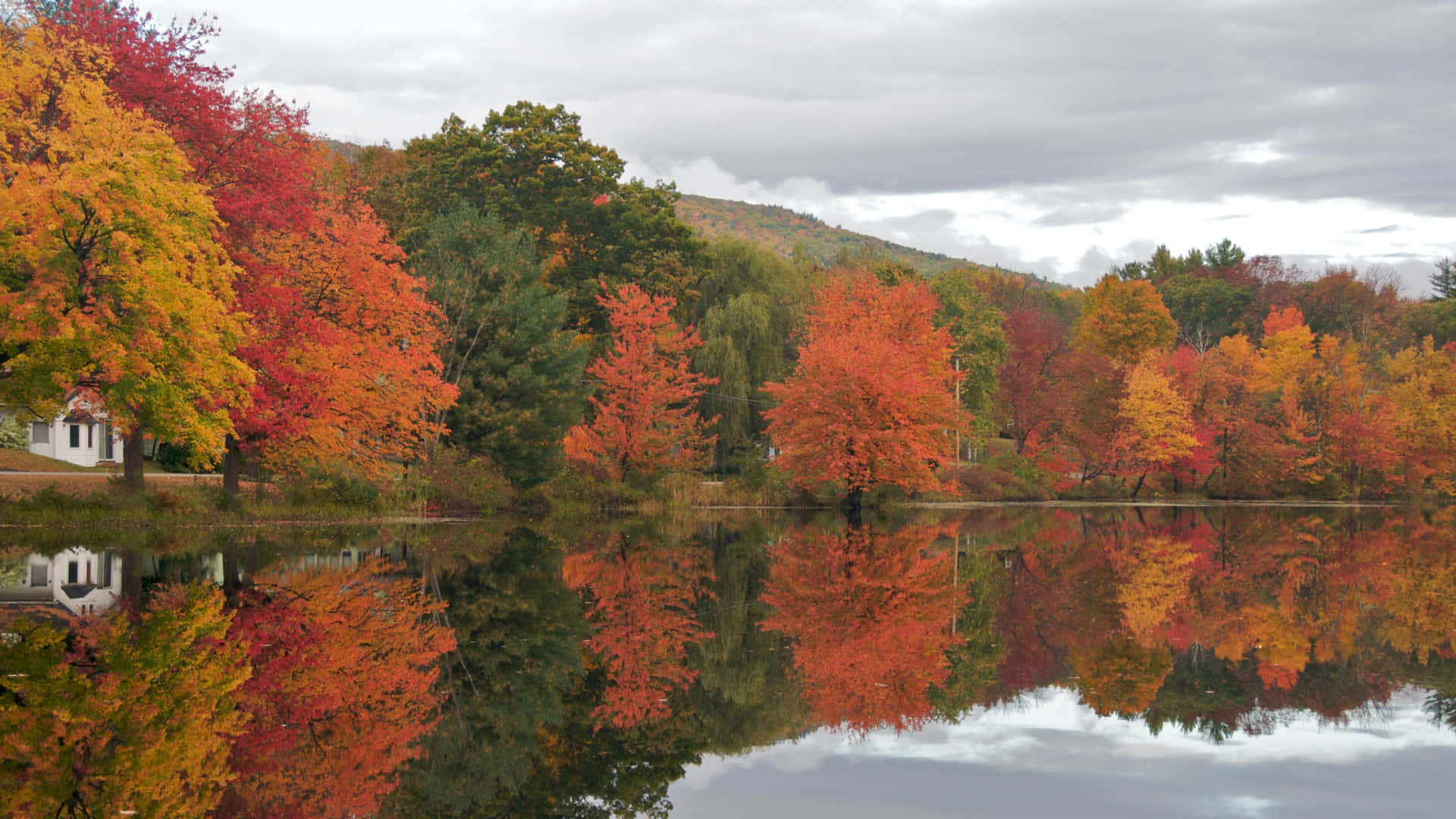 A Lake With Trees Background