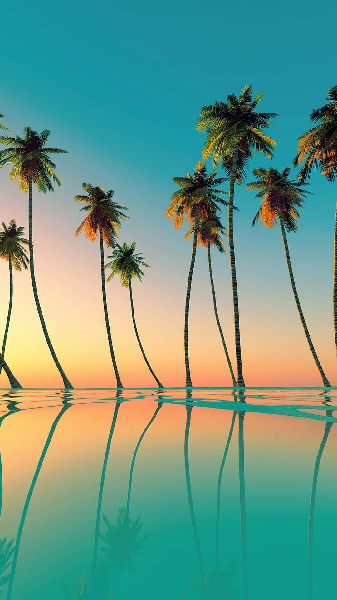 A Large Aesthetic Palm Tree With A Vibrant Orange Sunset