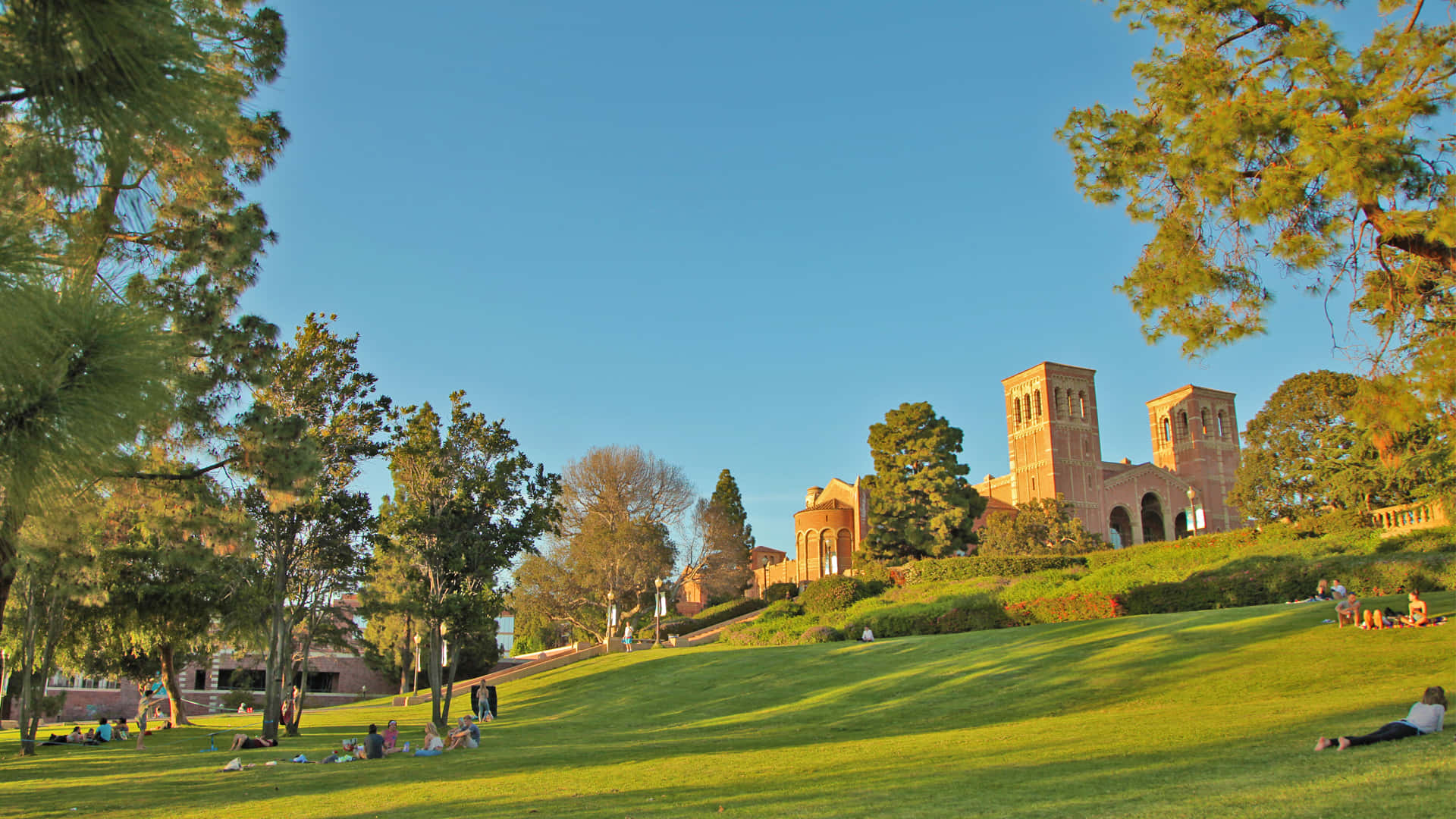 A Large Green Lawn With People Sitting On It Background