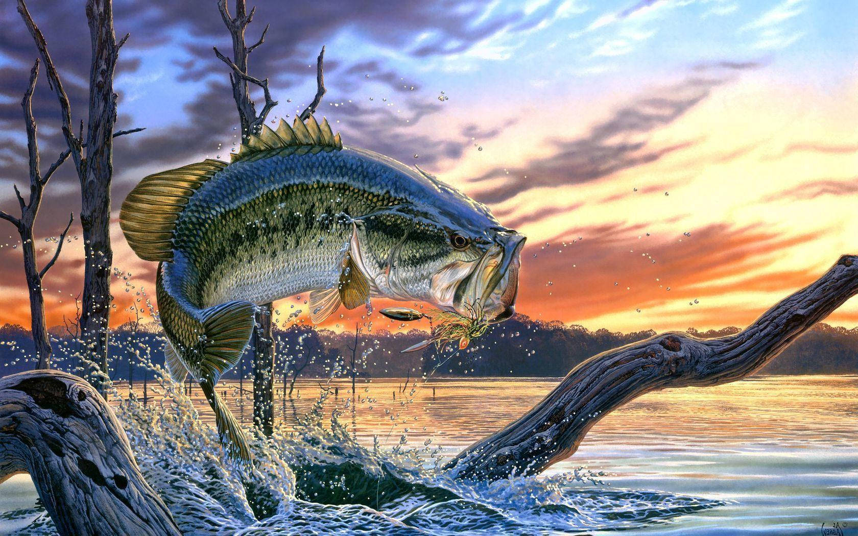 A Largemouth Bass On A Sunset Background