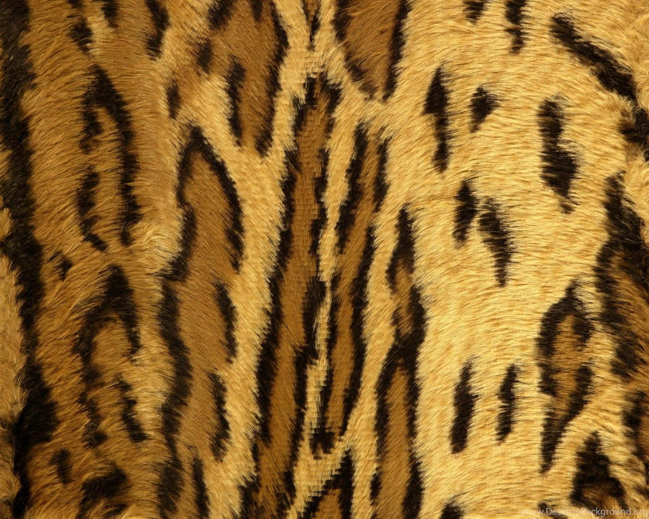 A Leopard Pattern For Your Interior Decor Background