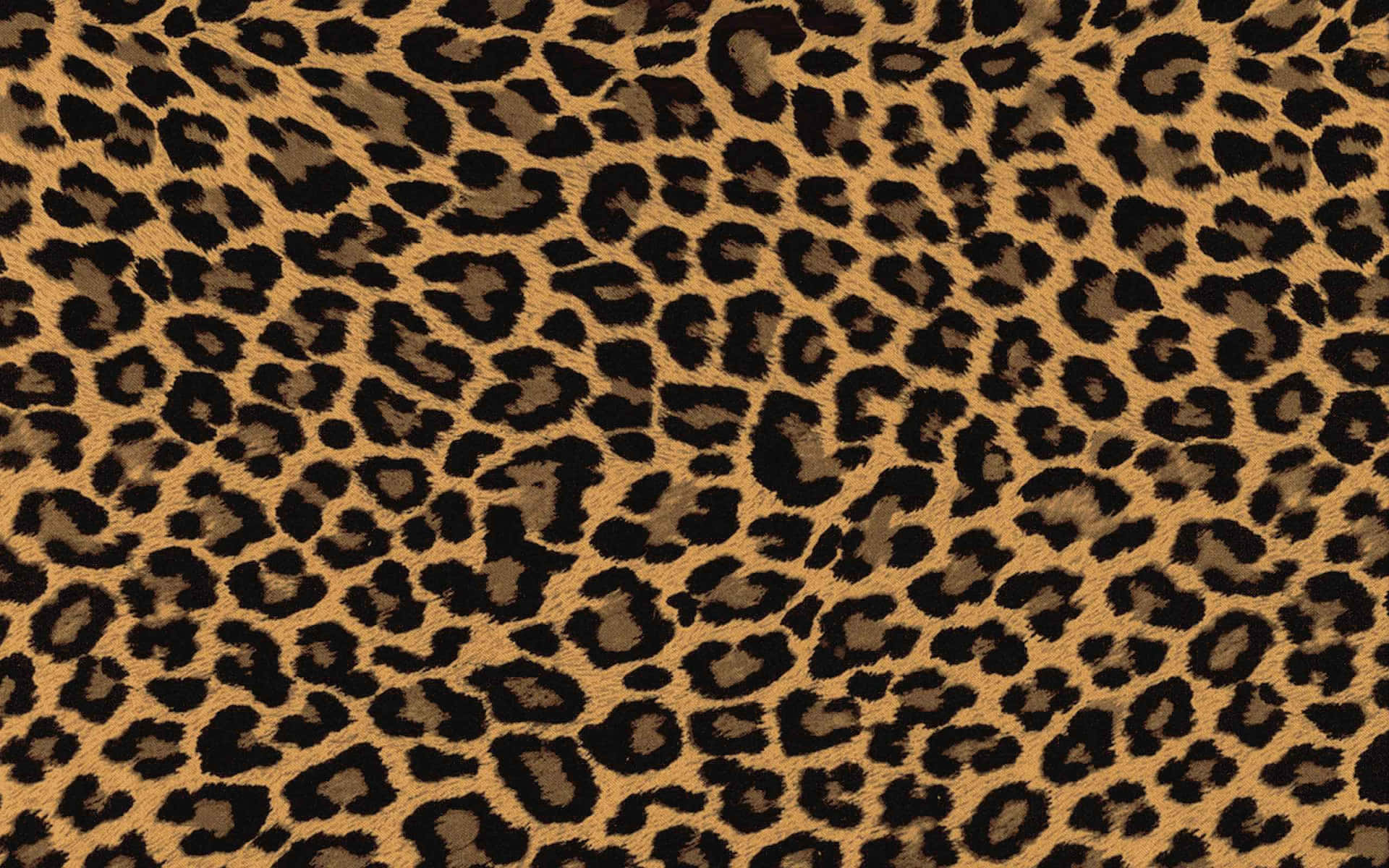 A Leopard Print Fabric With Black And Brown Spots Background