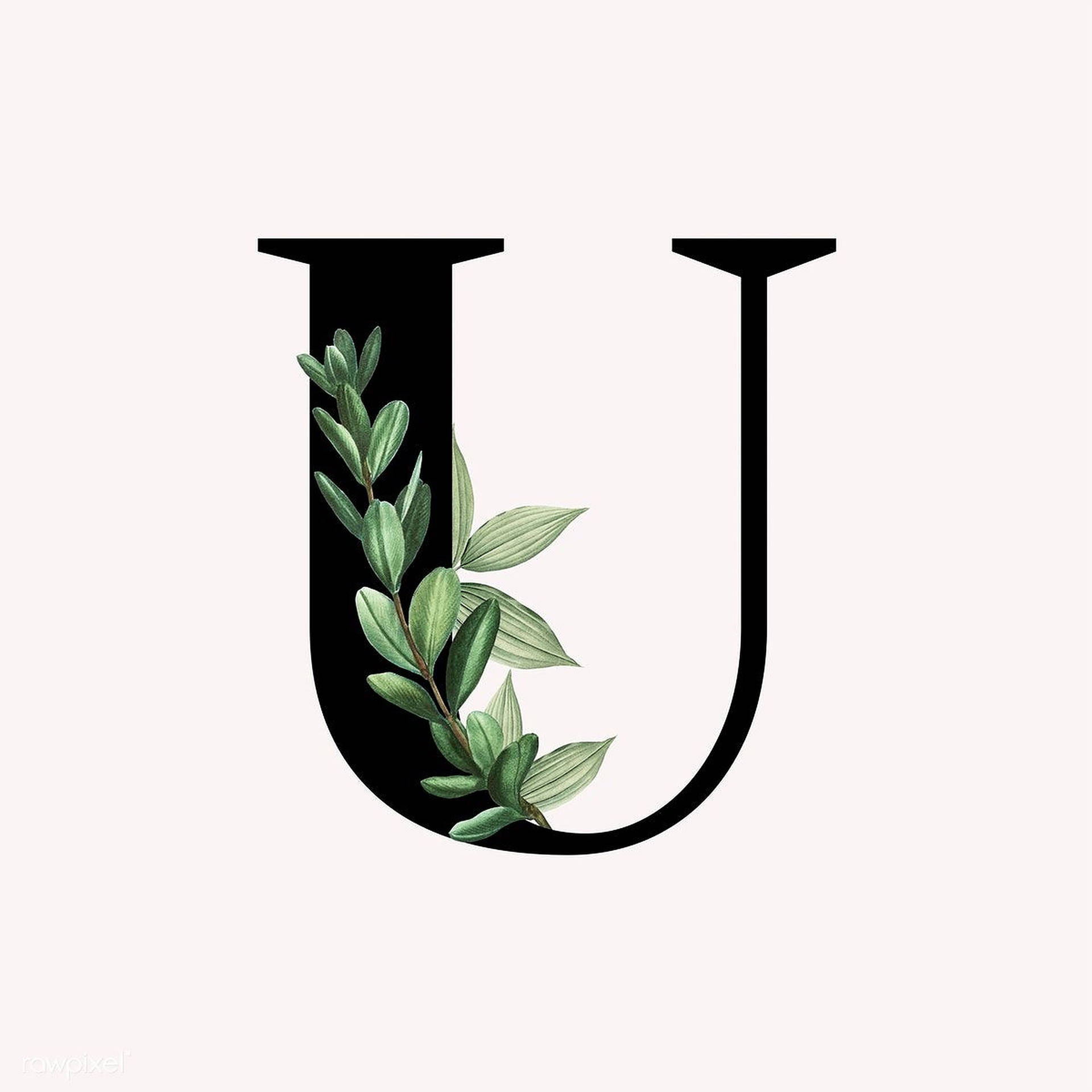 A Letter U With Green Leaves And Leaves