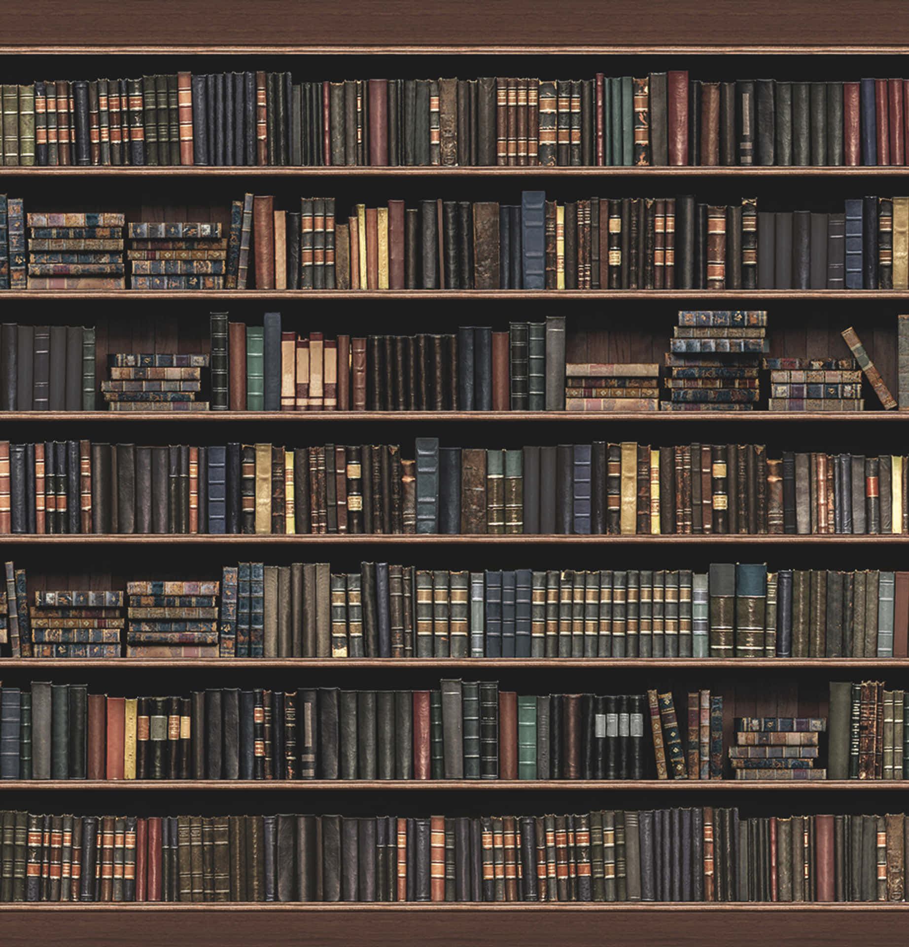 A Library With Many Books On Shelves Background