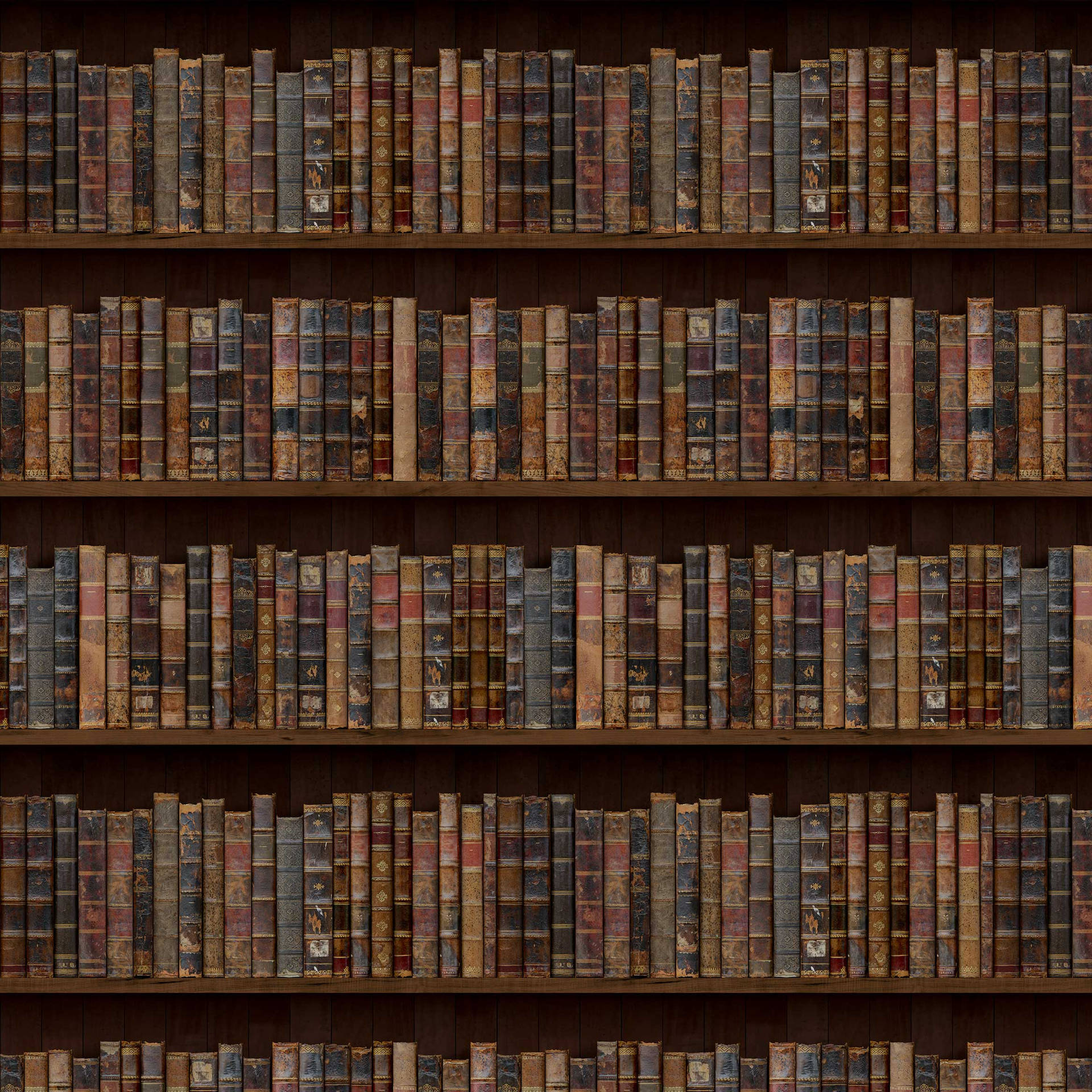 A Library With Many Books On Shelves Background