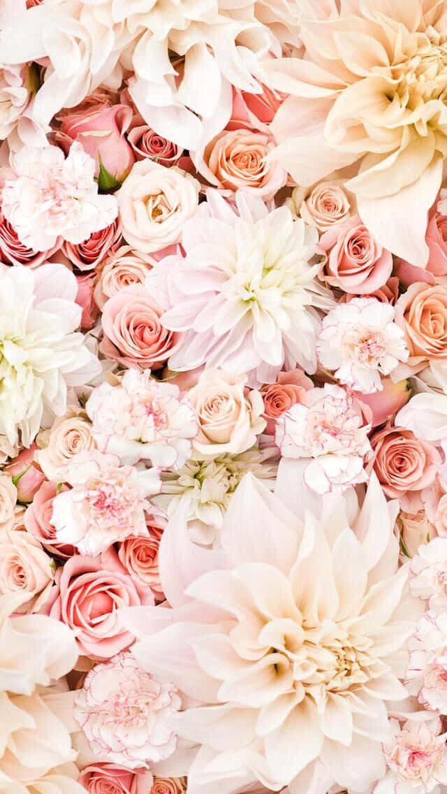 A Light Pink Floral Iphone Pattern Background