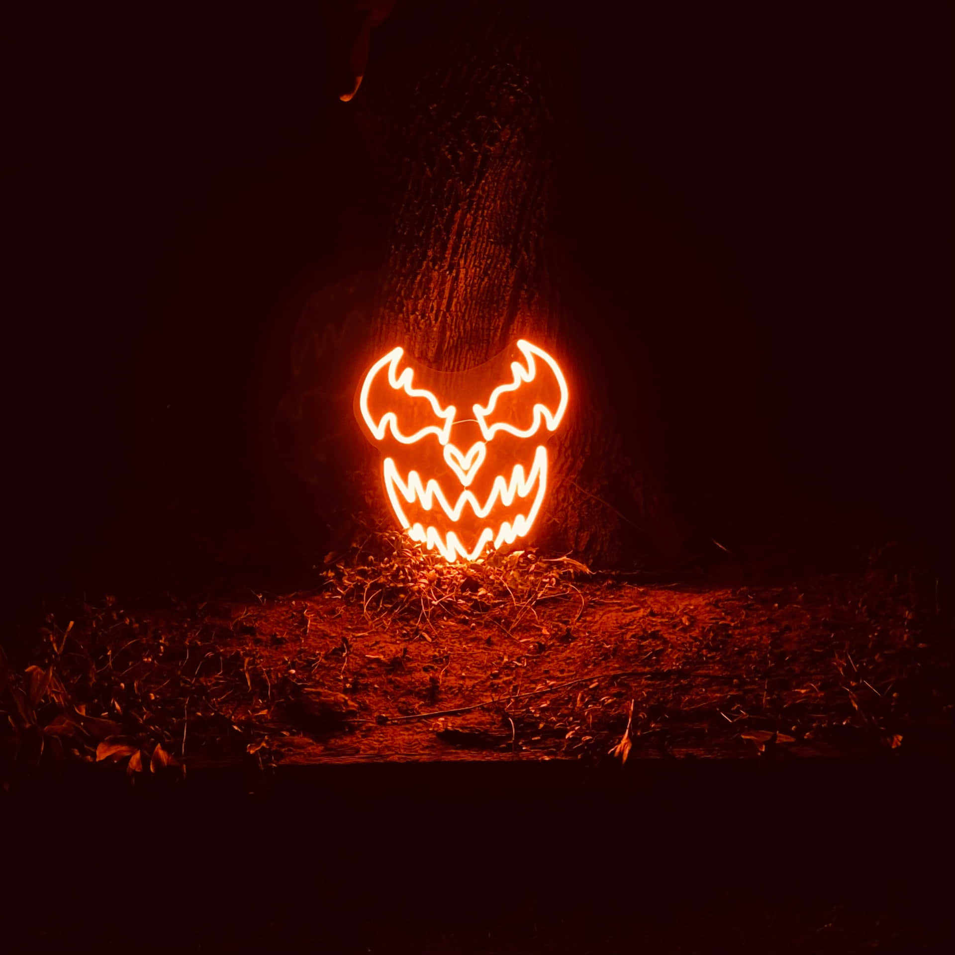 A Lighted Pumpkin Is Sitting In The Dark Background