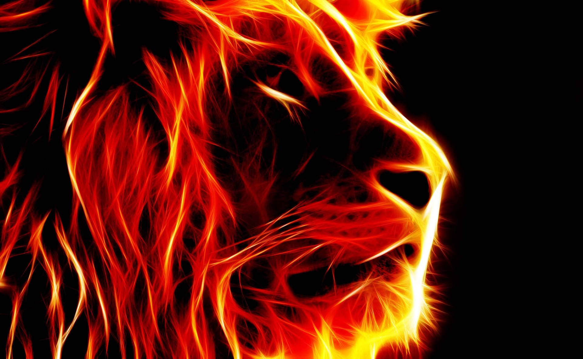 A Lion's Head In Flames On A Black Background