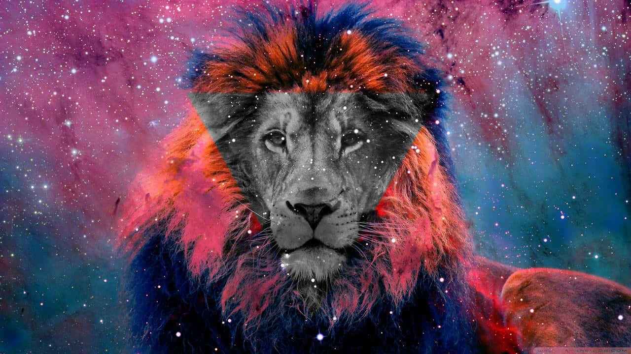 A Lion With A Colorful Background Background