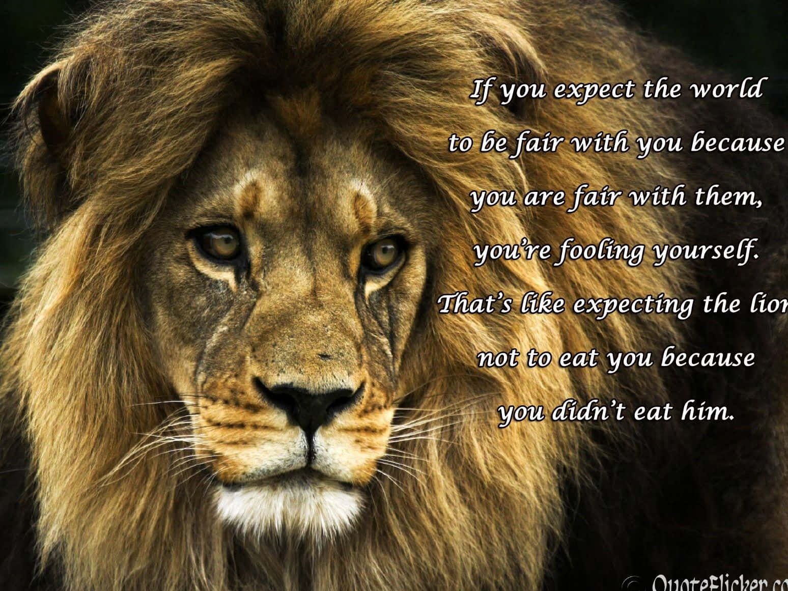 A Lion With A Quote About The World Background