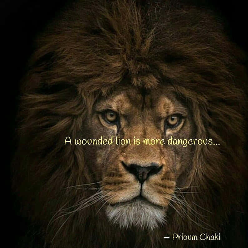 A Lion With The Quote, A Grounded Life Is More Dangerous Background
