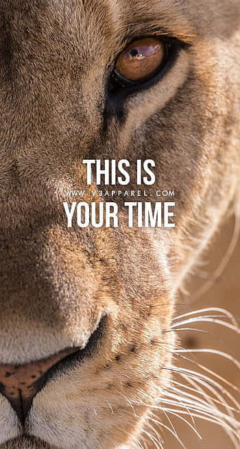 A Lion With The Words This Is Your Time Background