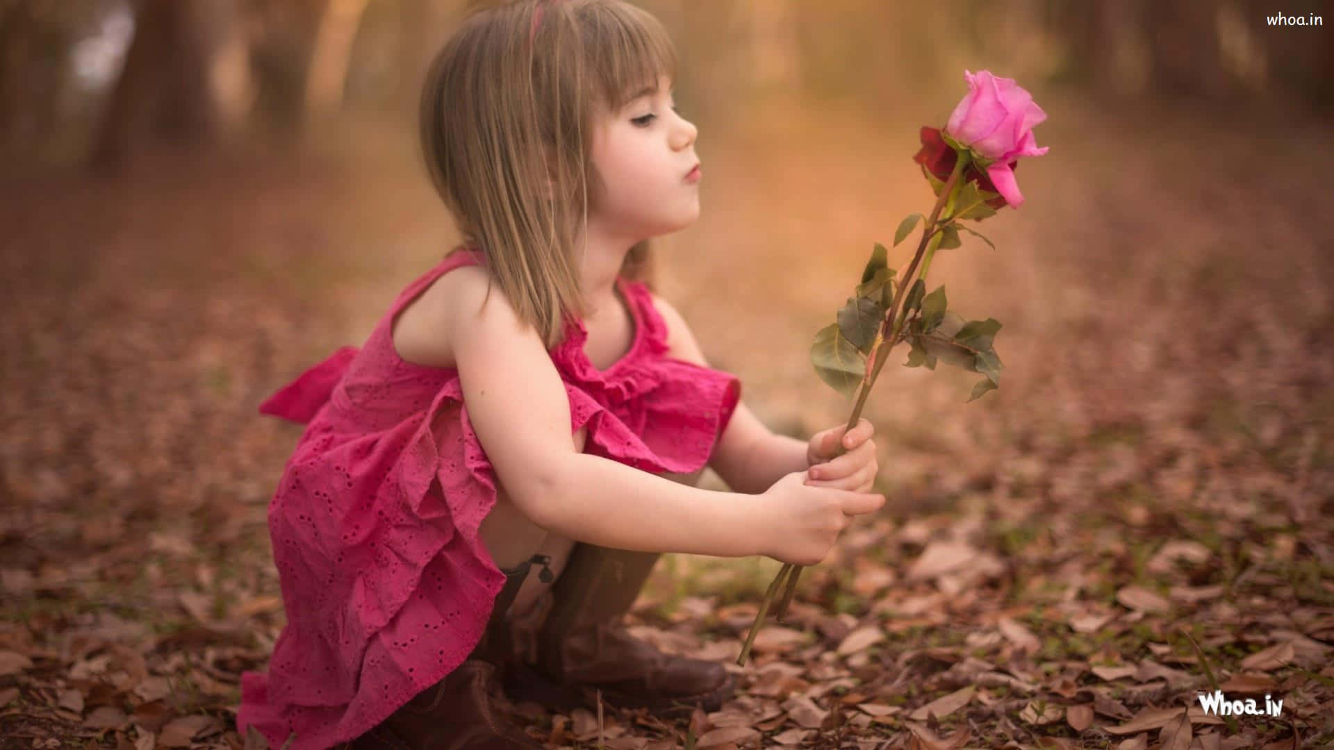 A Little Girl Is Holding A Pink Rose In The Woods Background