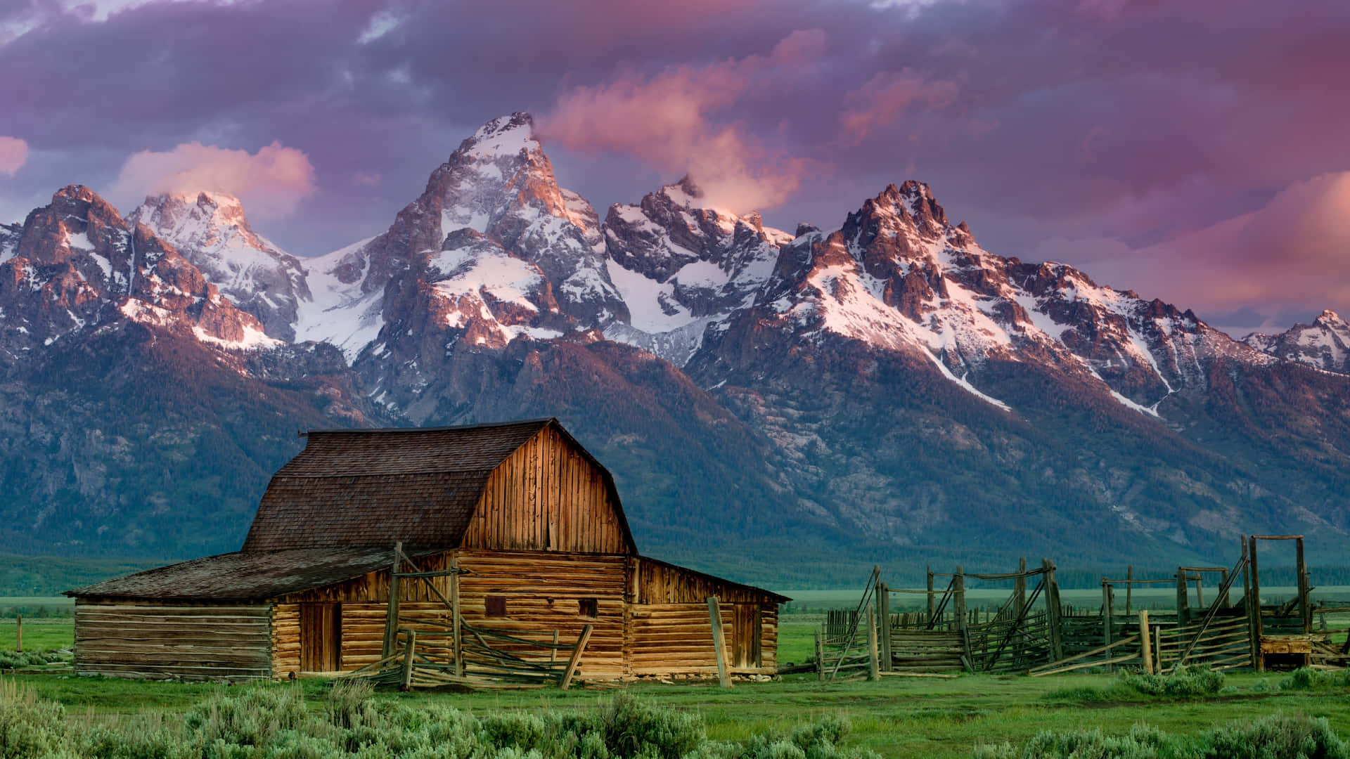 A Lively Meadow Of Green Grass And Wildflowers At A Ranch Background