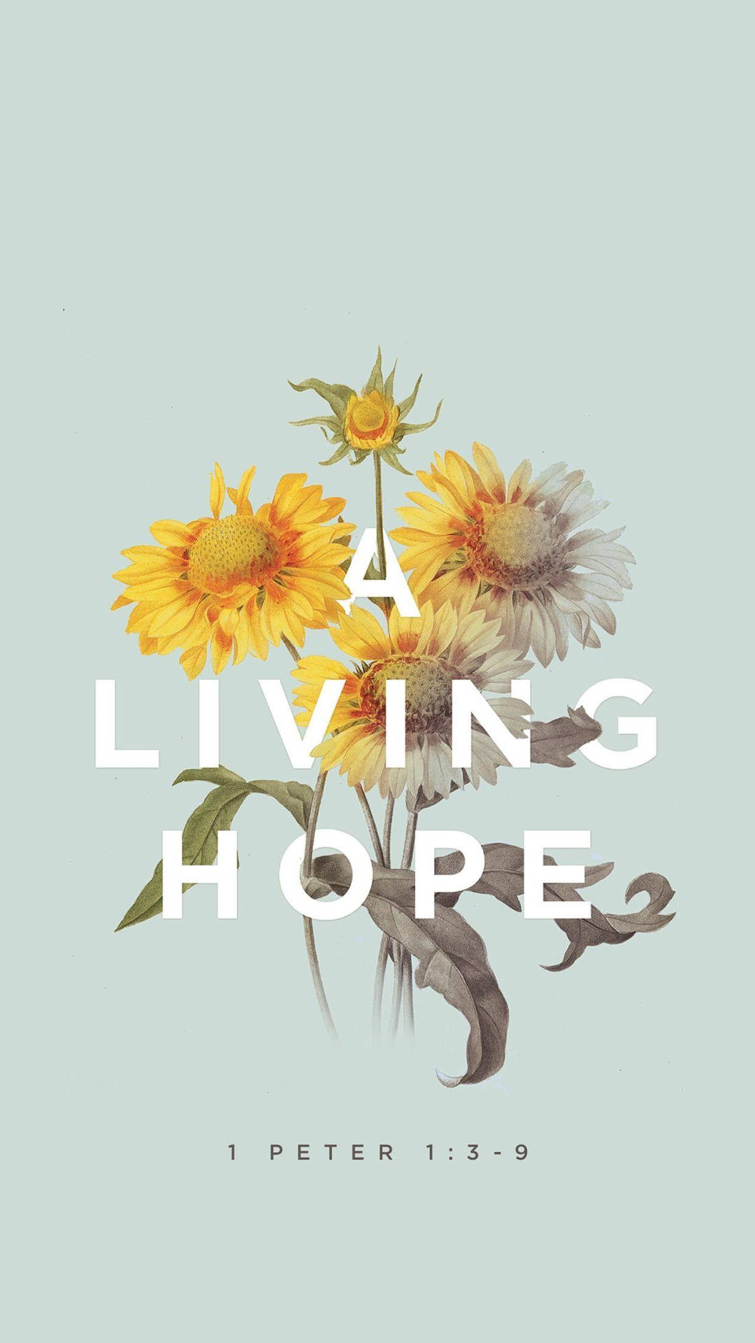 A Living Hope Jesus Quotes Background