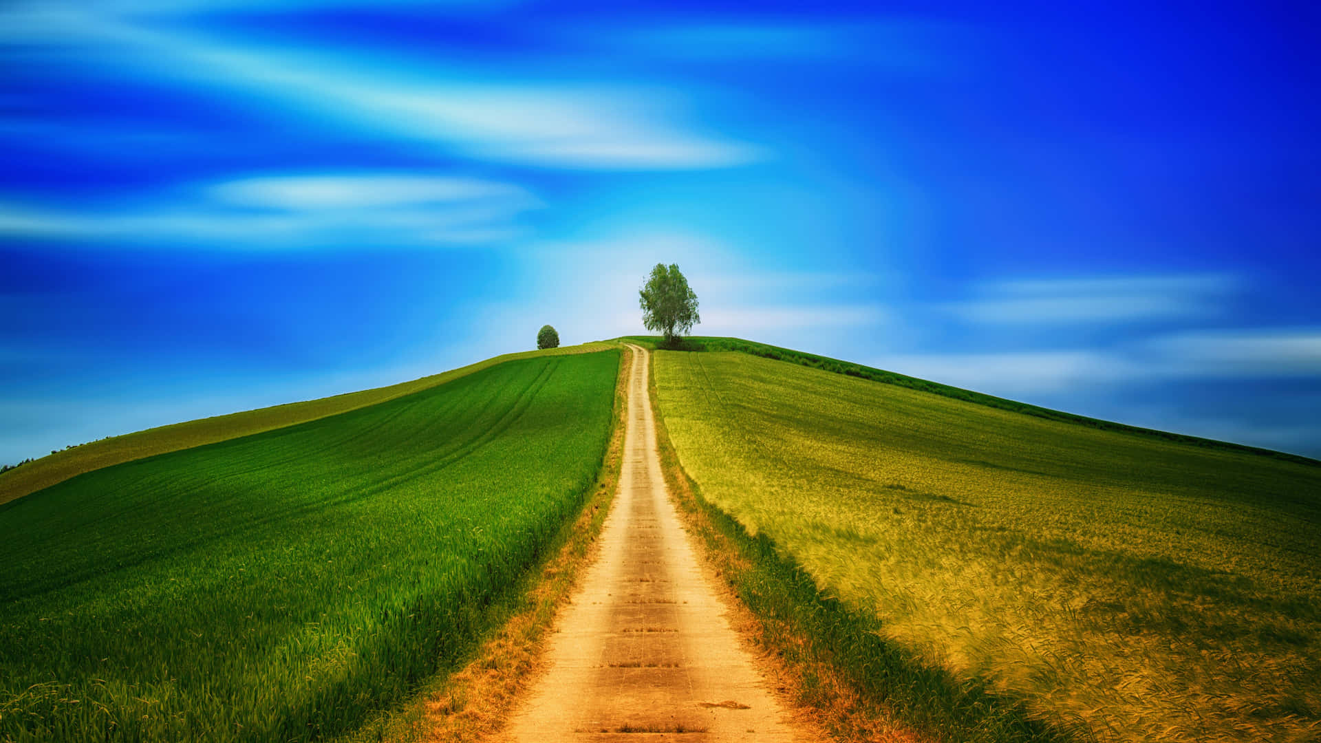 A Lone Tree On A Serene Hill Path Background