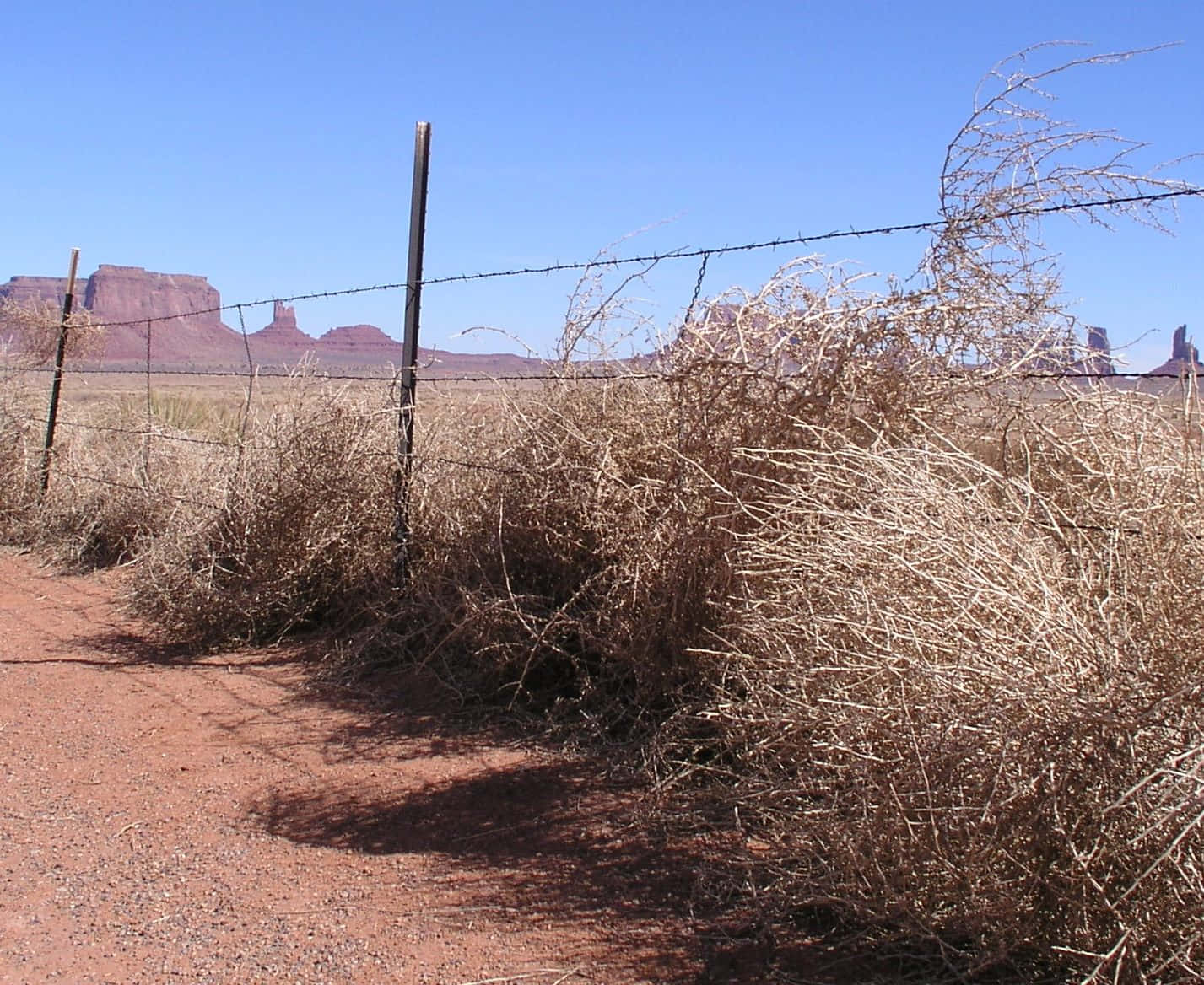 A Lone Tumbleweed In The Desert Background
