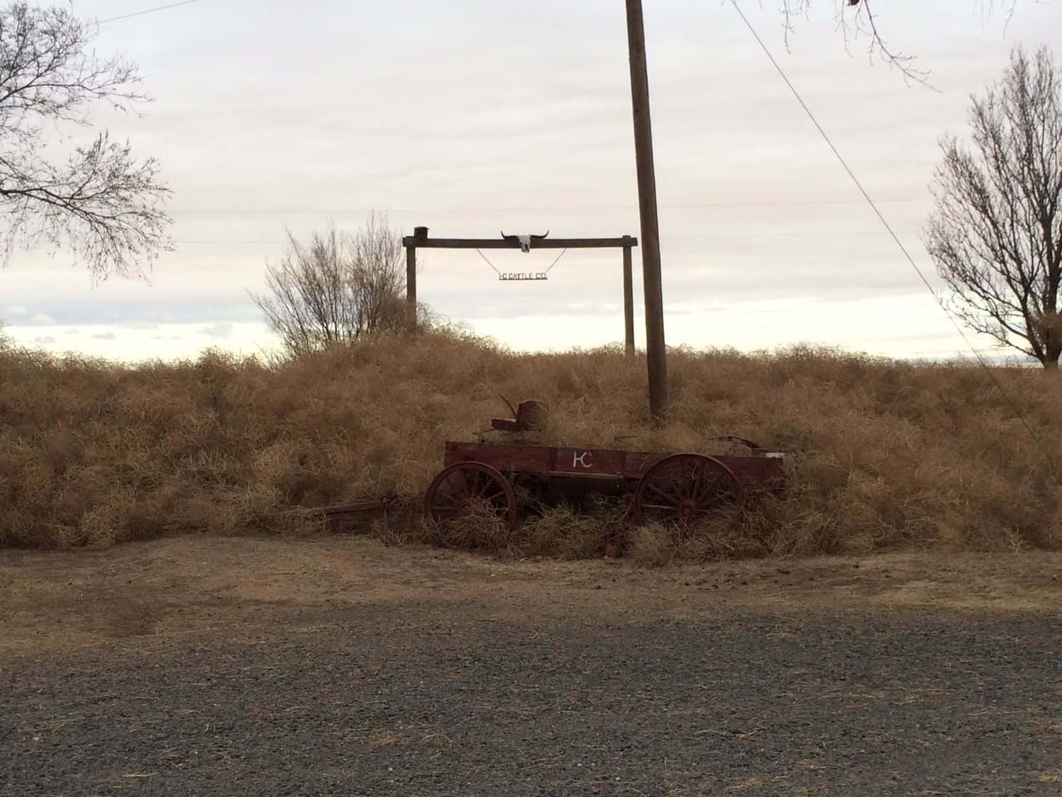A Lone Tumbleweed In The Vast Desert Background