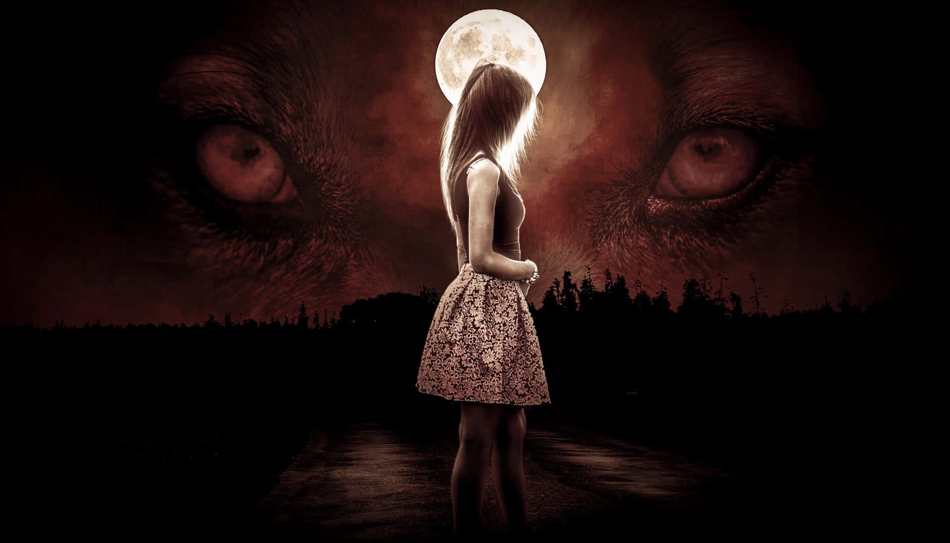 A Lone Wolf Howls At Night. Background
