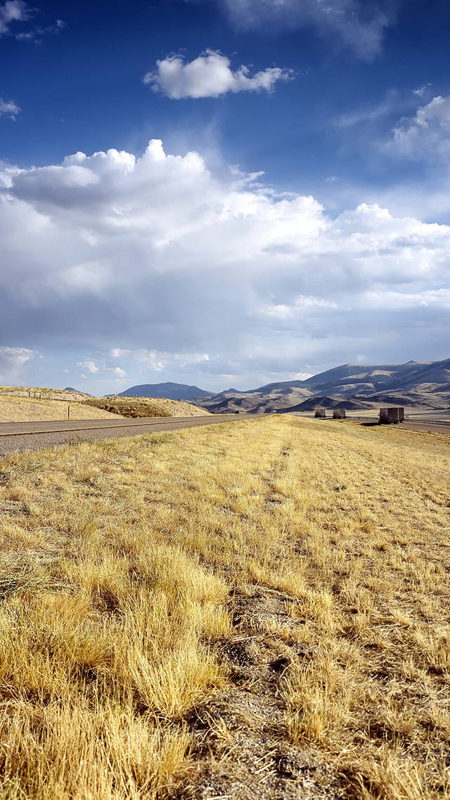 A Long Road With Cheatgrass In Idaho Background