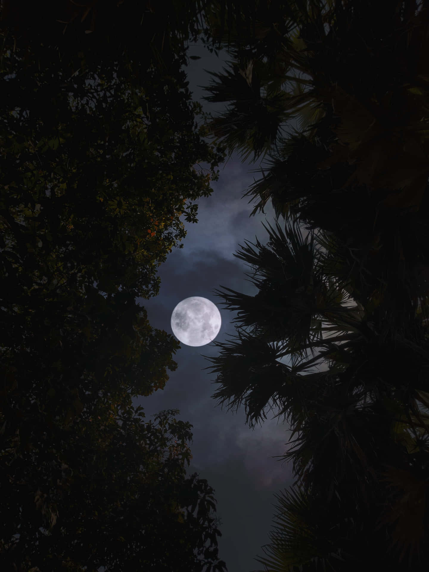 A Lovely Full Moon Lighting Up A Peaceful Night Sky. Background