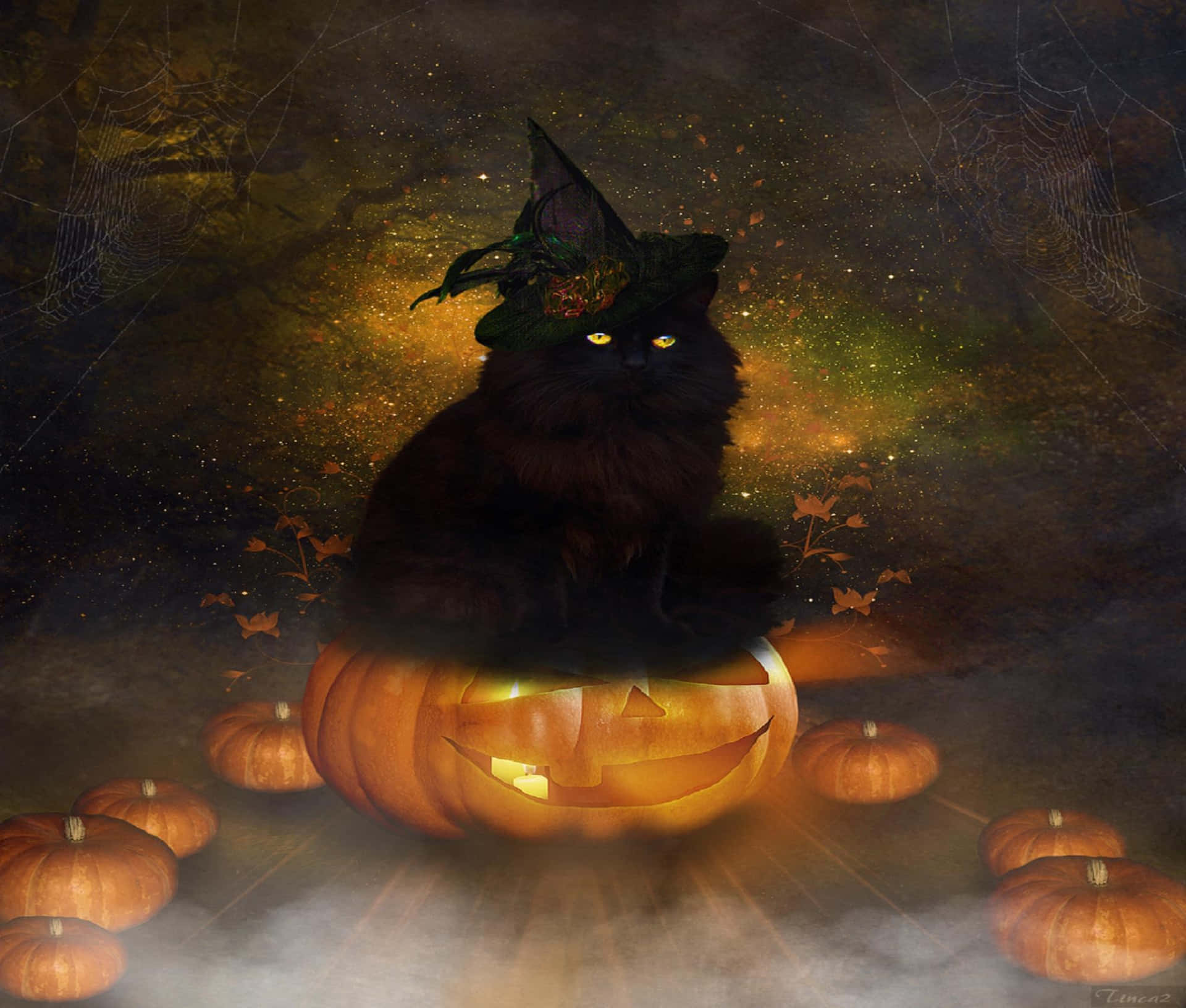A Magical Black Cat Has Come Out To Join The Halloween Festivities. Background