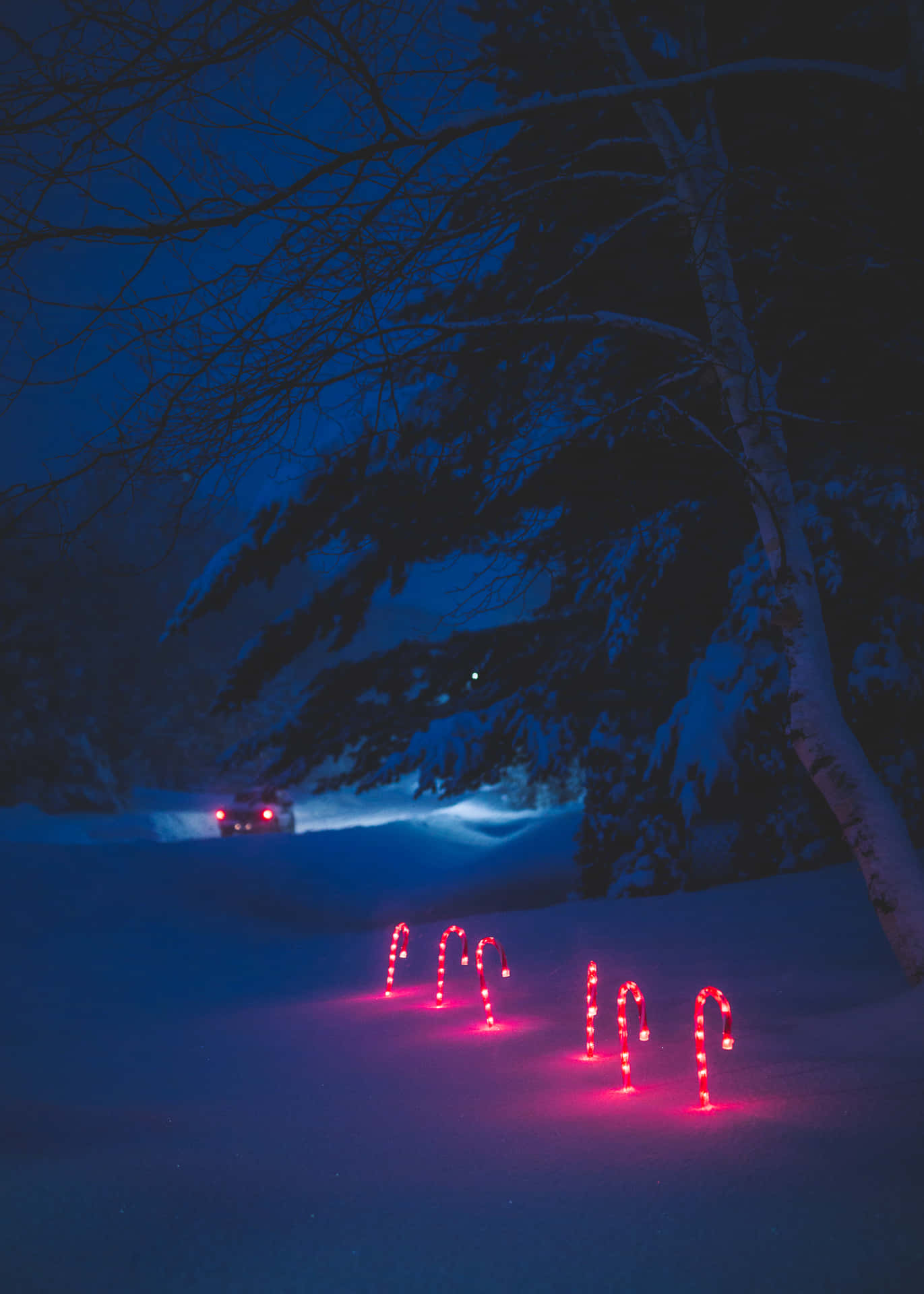 A Magical Christmas Night Spent Beneath Twinkling Stars And A Peaceful Blanket Of Snow. Background