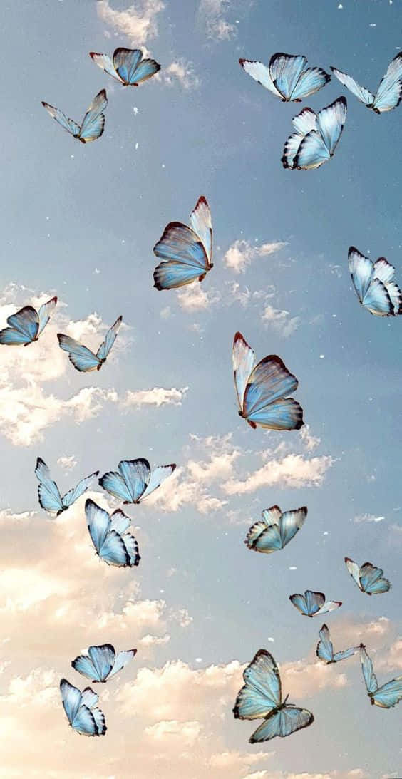 A Magical, Cool Butterfly Captivatingly Sitting On A Flower. Background