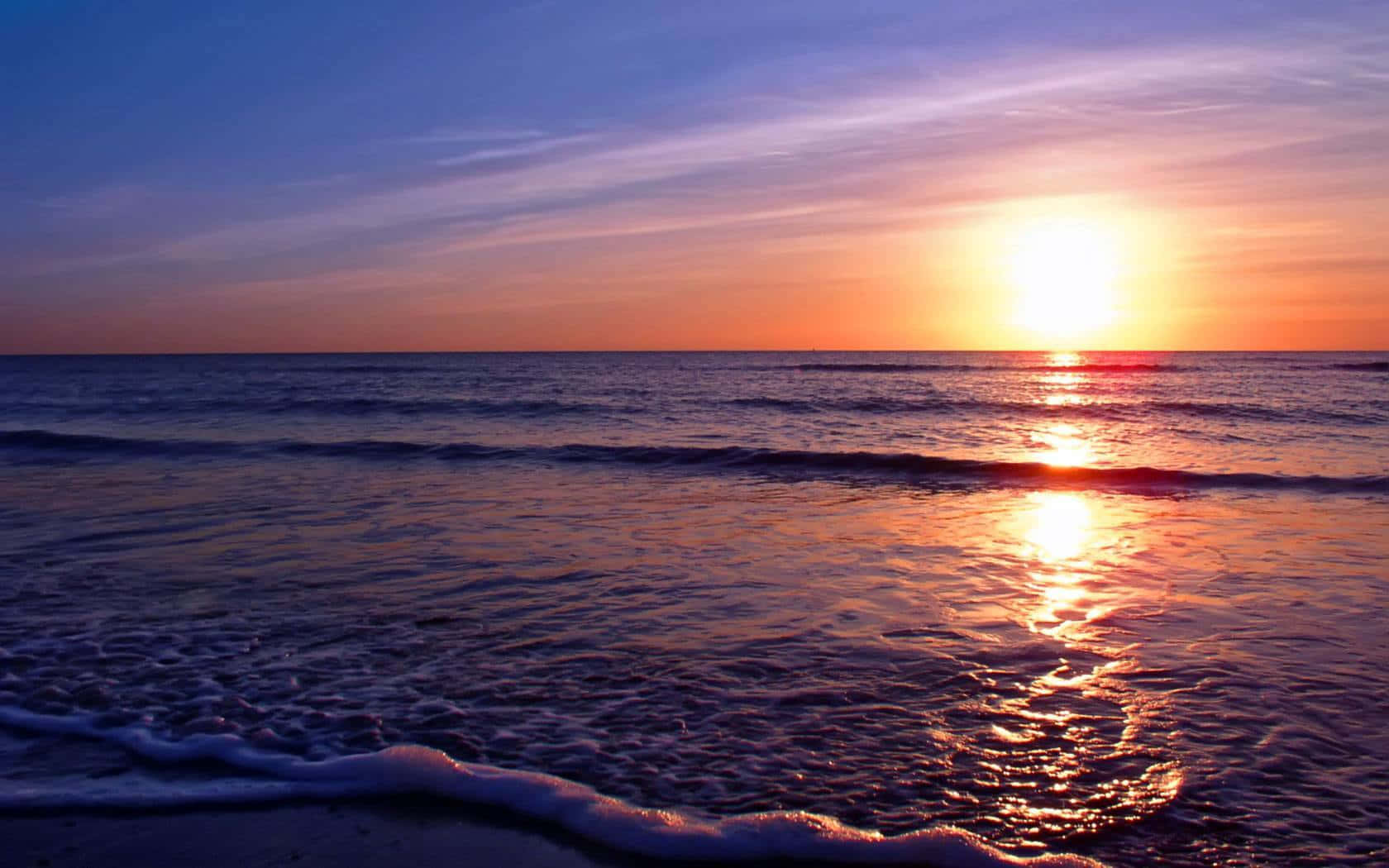 A Magical Moment Of A Dolphin Swimming Against The Backdrop Of A Spectacular Sunset Background