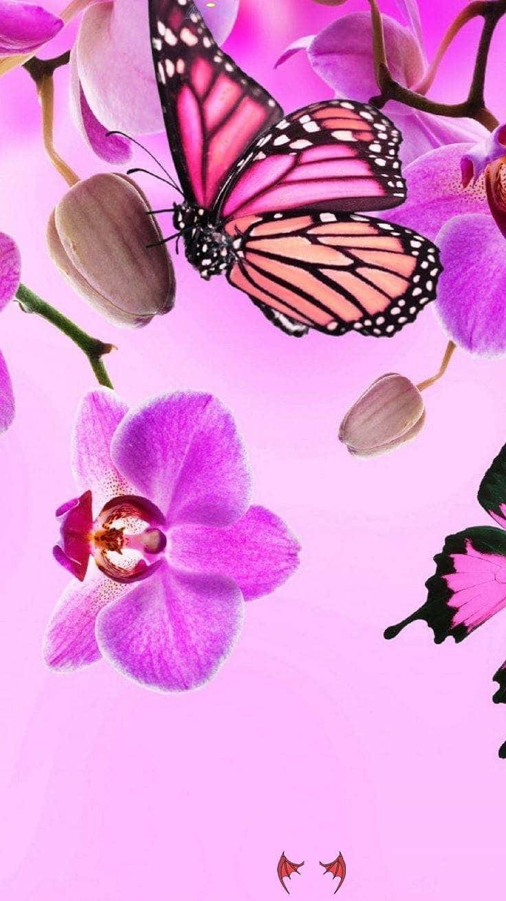 A Magical Pink Glitter Butterfly Adorns This Wallpaper. Background