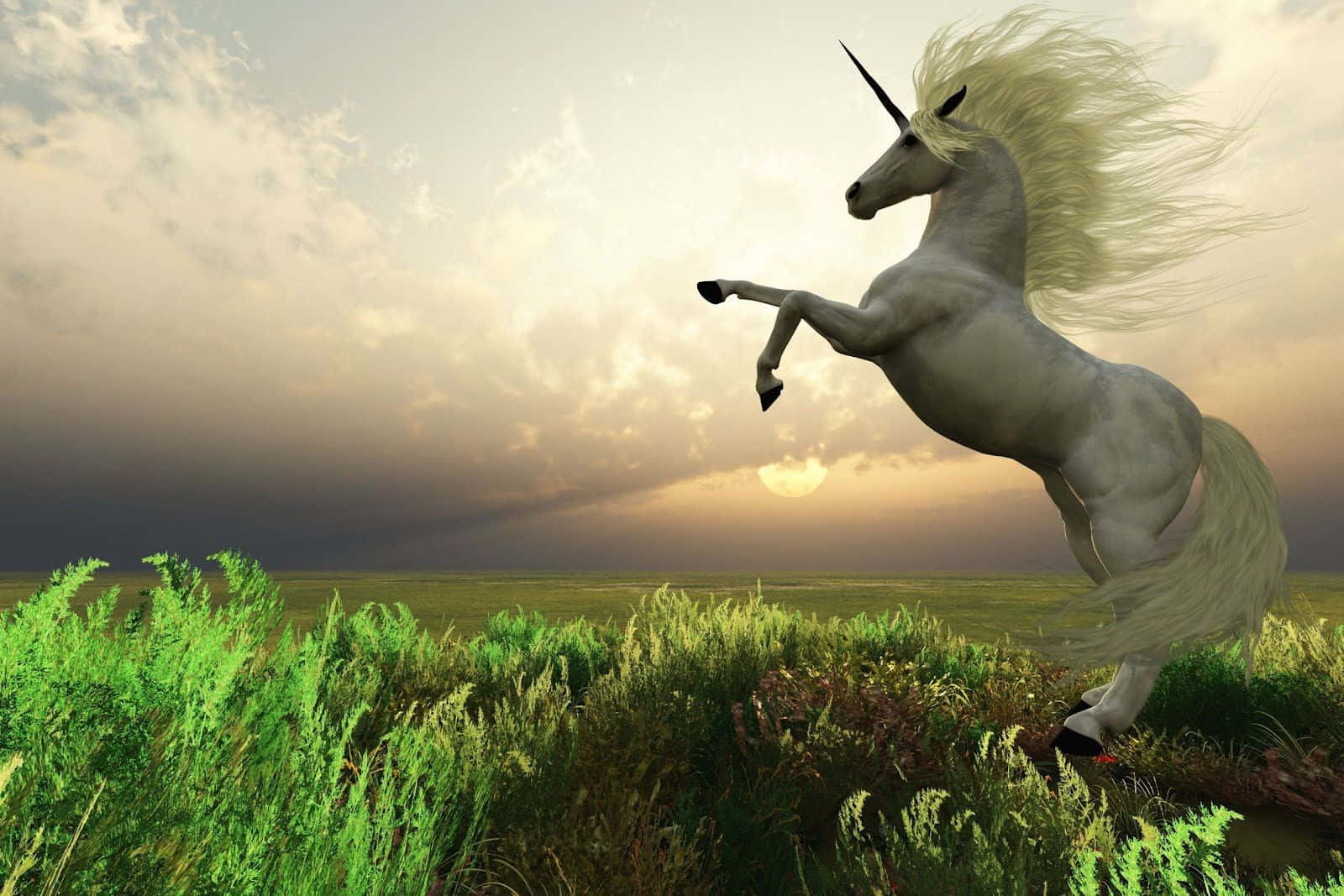 A Magical Real-life Unicorn Background