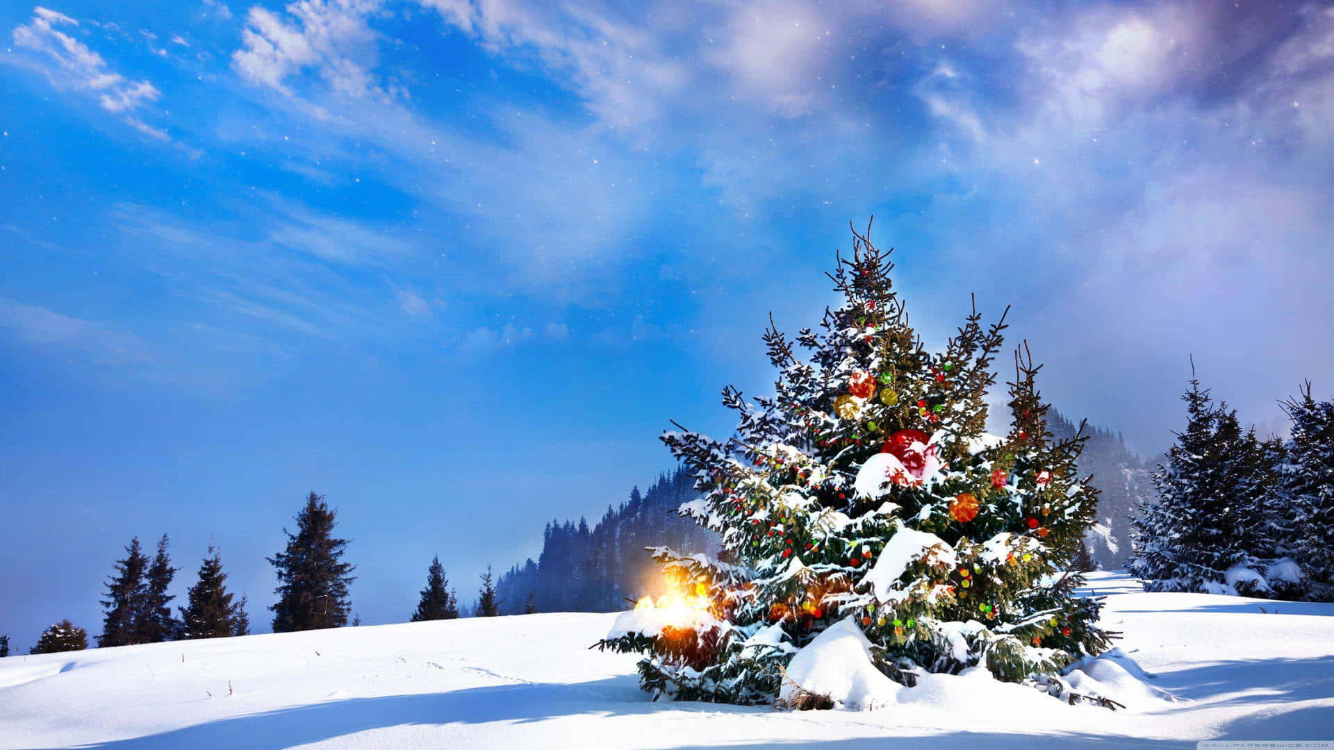 A Magical Winter Night, Perfect For Celebrating The Christmas Season. Background