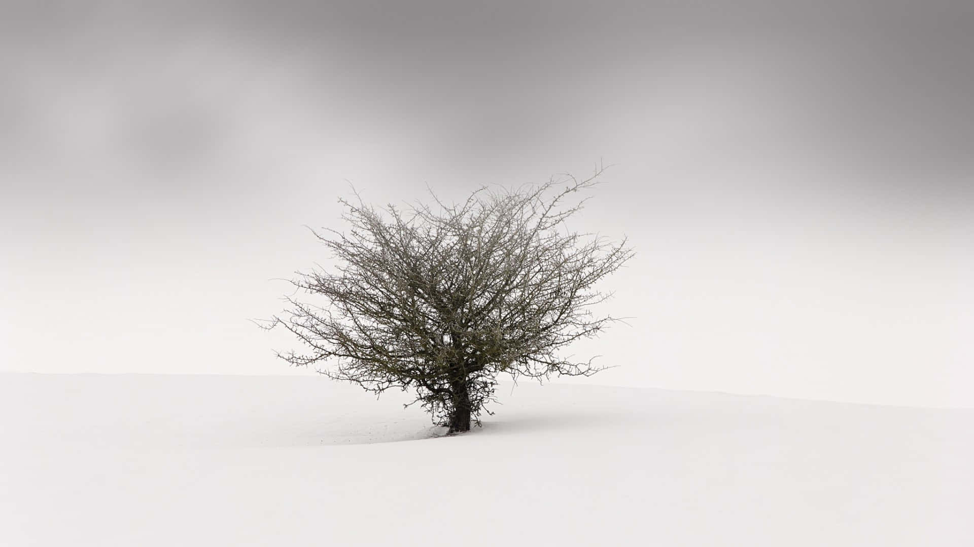 A Magnificent View Of A Simple Winter Background