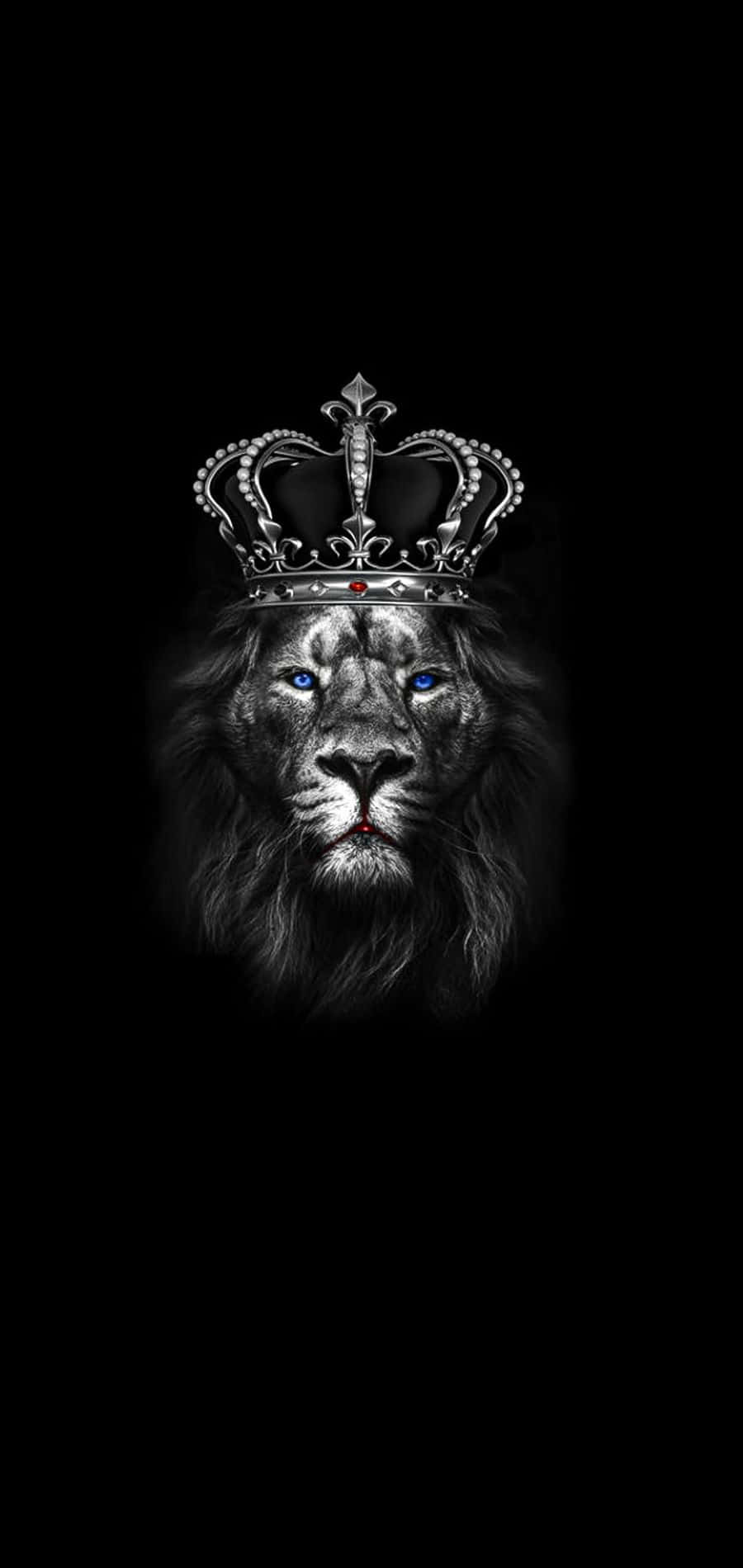A Majestic Black Lion Background