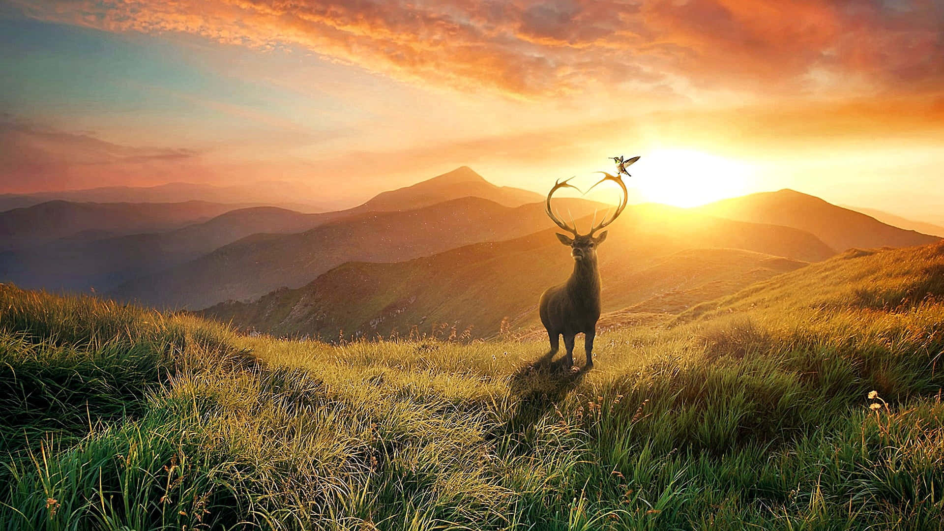 A Majestic Cool Deer Standing Against Its Picturesque Background. Background