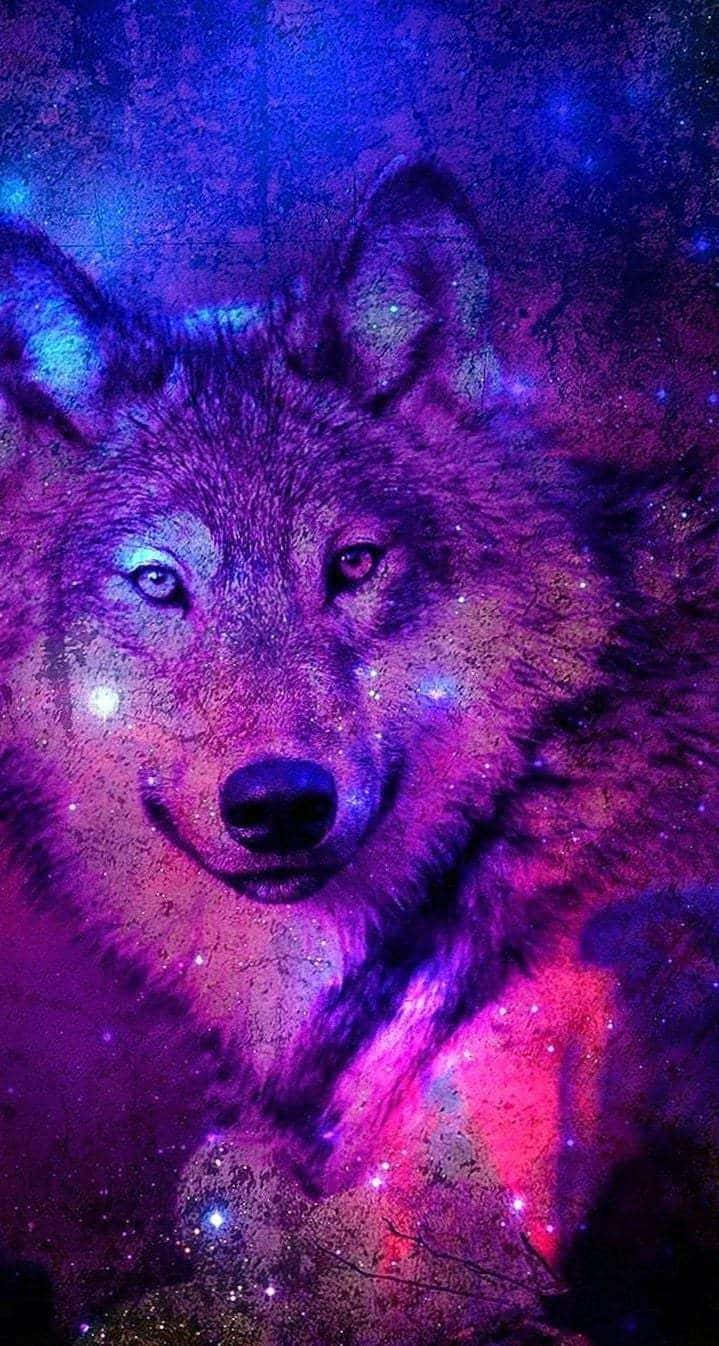 A Majestic Pretty Wolf Enjoying A Peaceful Moment In The Outdoors Background